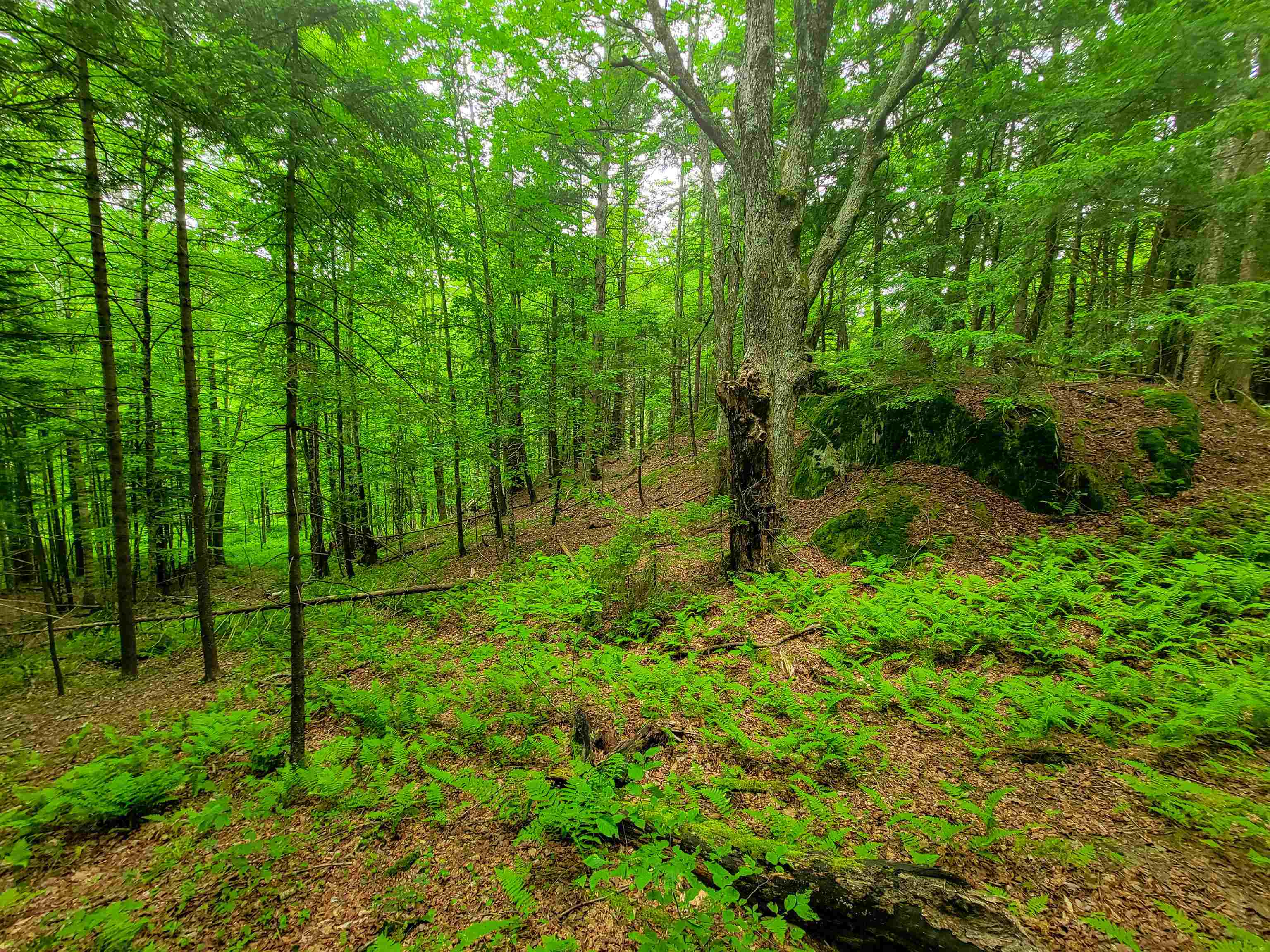 3745 Vt-100 Warren, VT 05674 - Photo 39 of 60