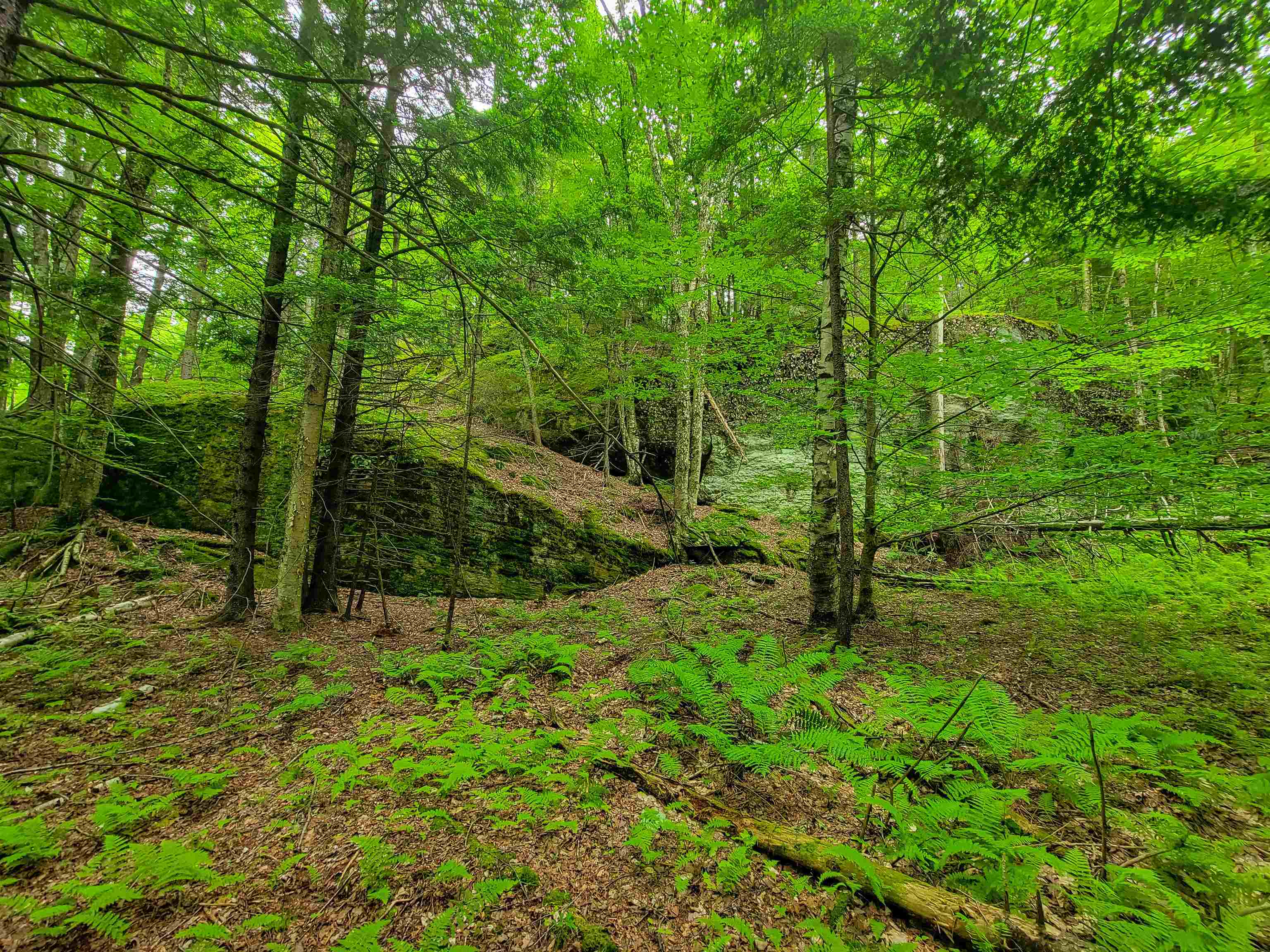 3745 Vt-100 Warren, VT 05674 - Photo 40 of 60