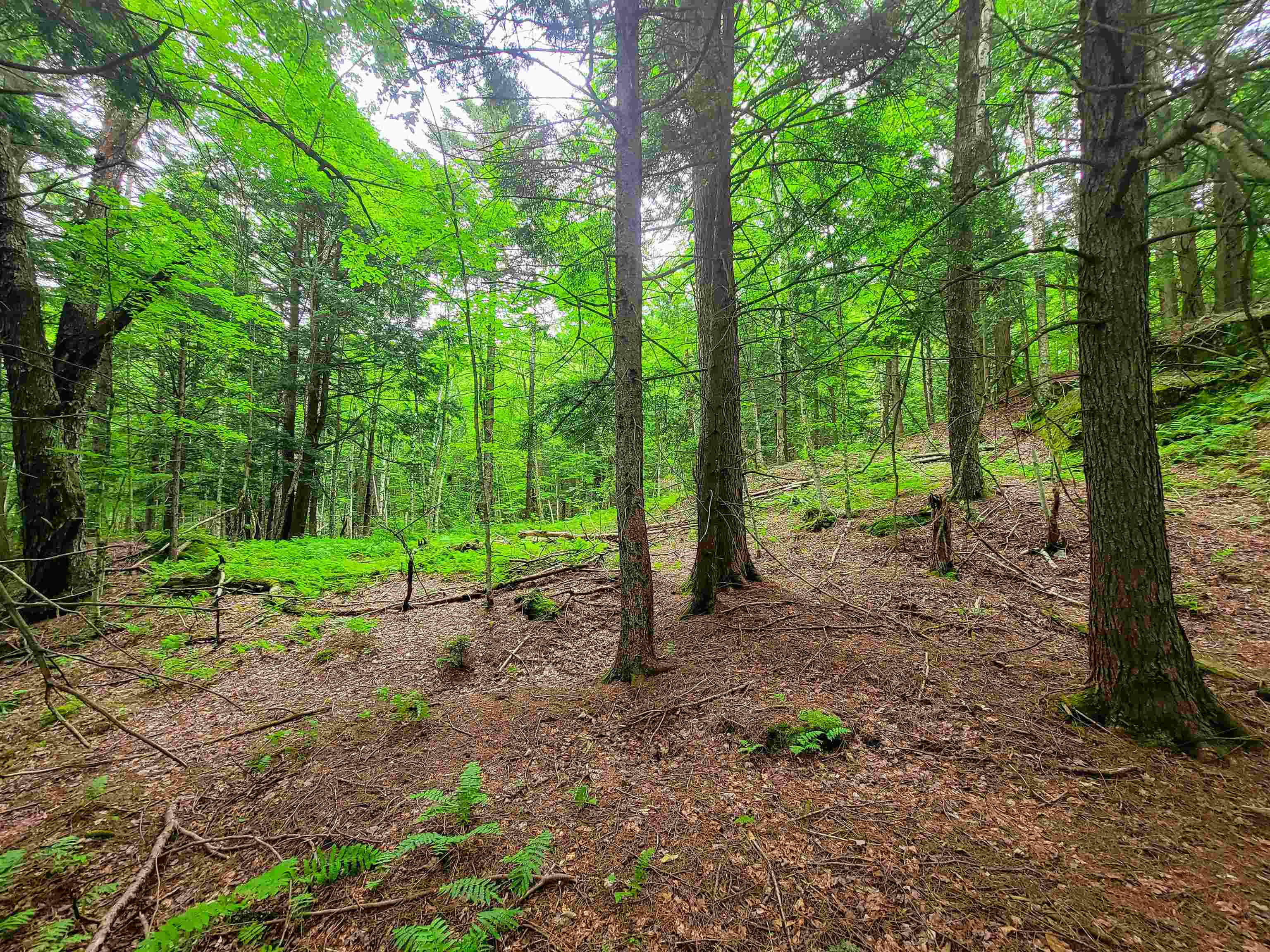 3745 Vt-100 Warren, VT 05674 - Photo 41 of 60