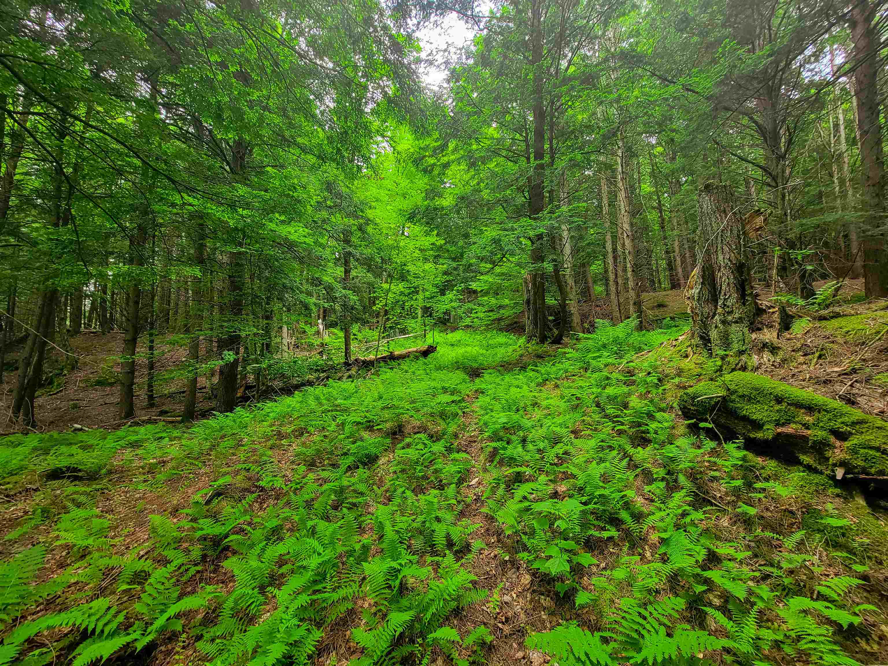 3745 Vt-100 Warren, VT 05674 - Photo 42 of 60