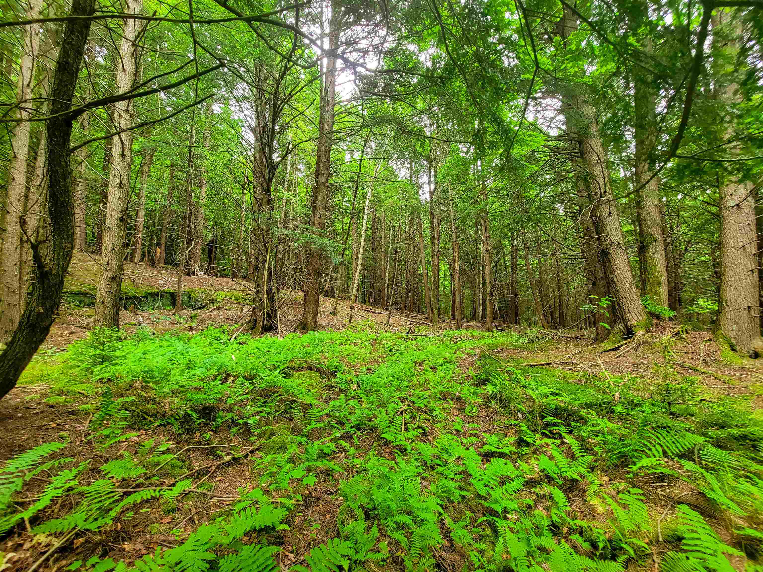 3745 Vt-100 Warren, VT 05674 - Photo 43 of 60