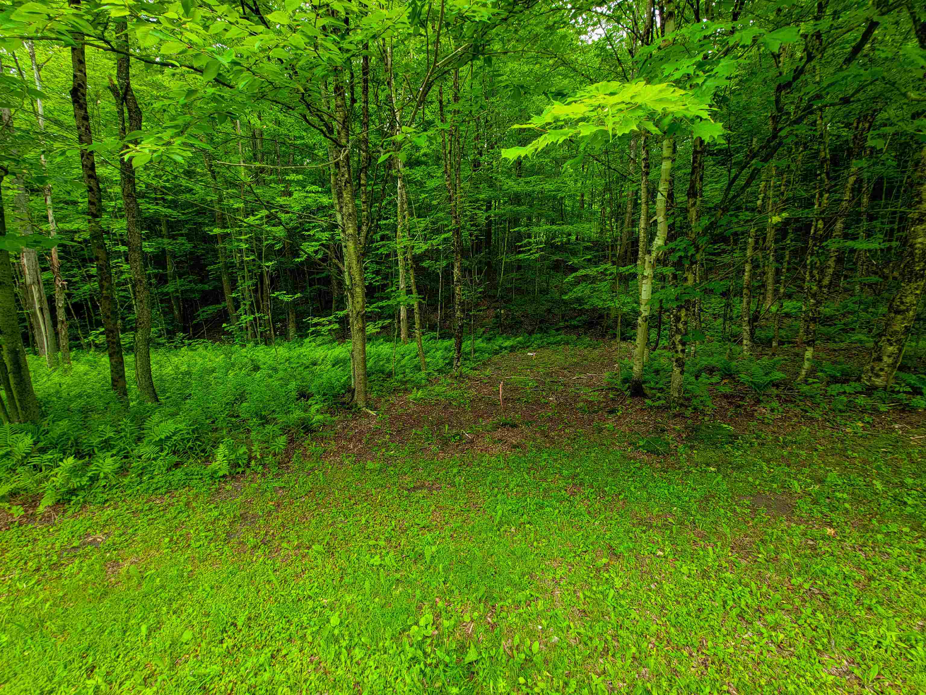 3745 Vt-100 Warren, VT 05674 - Photo 48 of 60