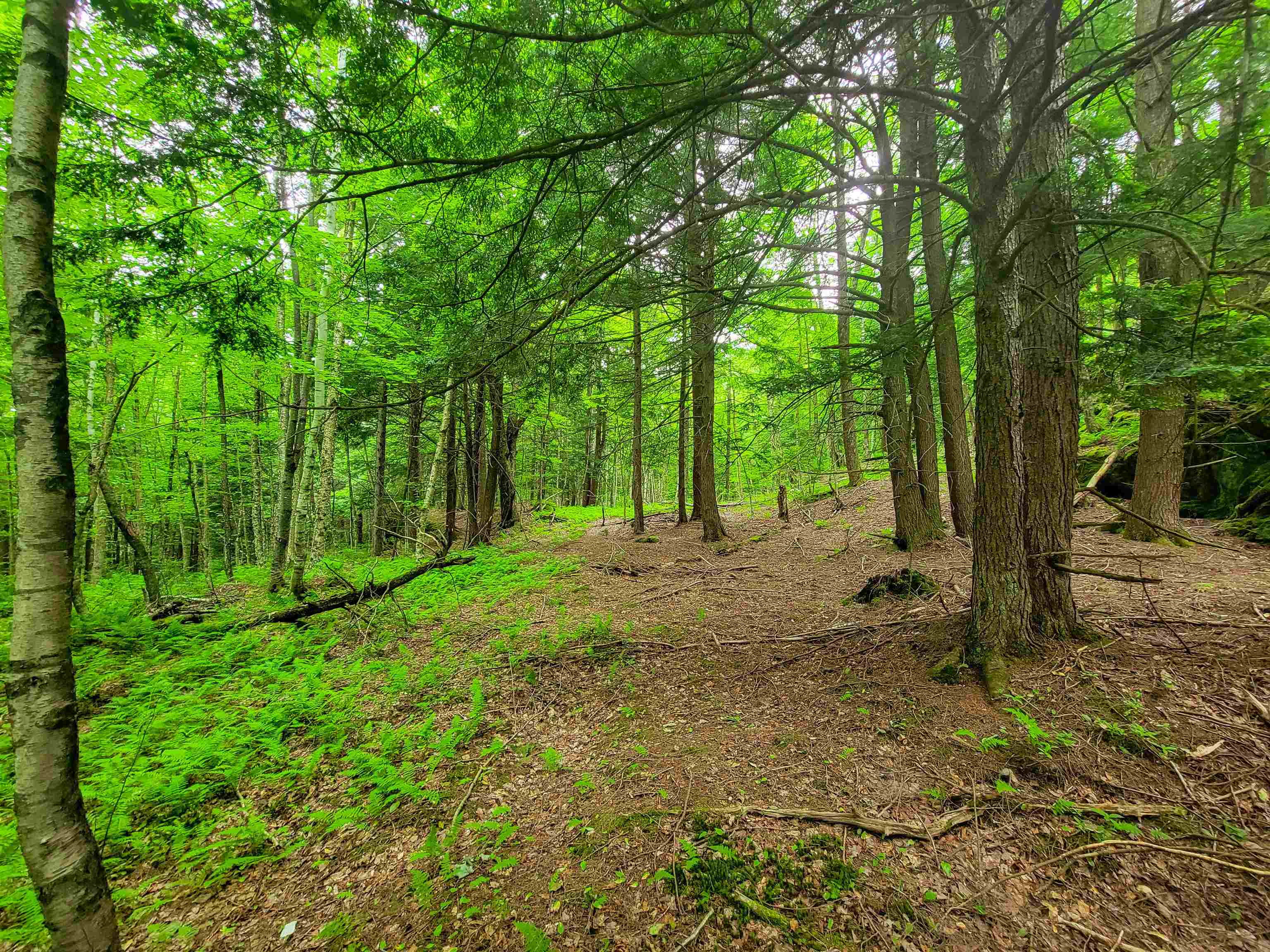 3745 Vt-100 Warren, VT 05674 - Photo 49 of 60