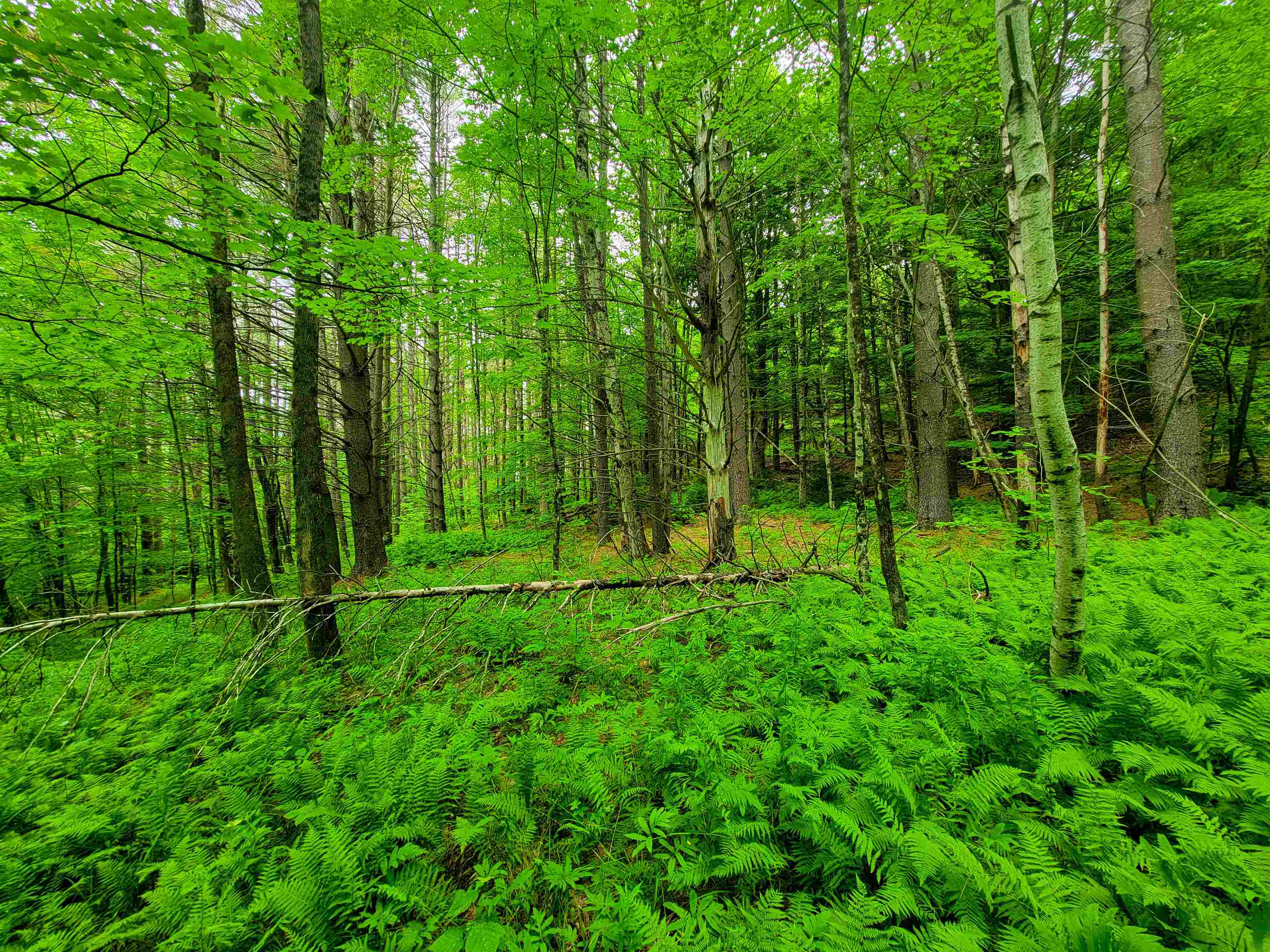 3745 Vt-100 Warren, VT 05674 - Photo 50 of 60