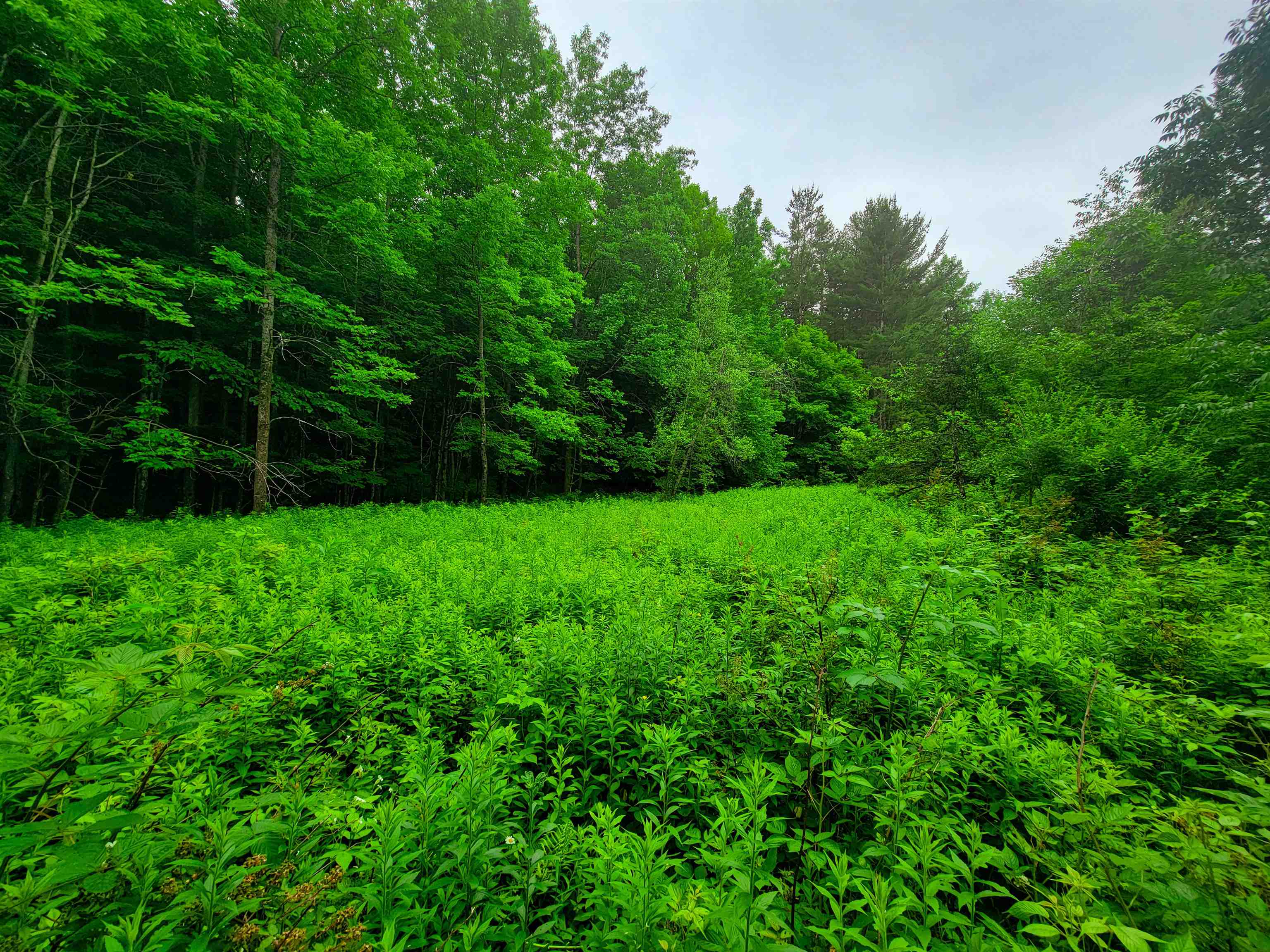 3745 Vt-100 Warren, VT 05674 - Photo 5 of 60