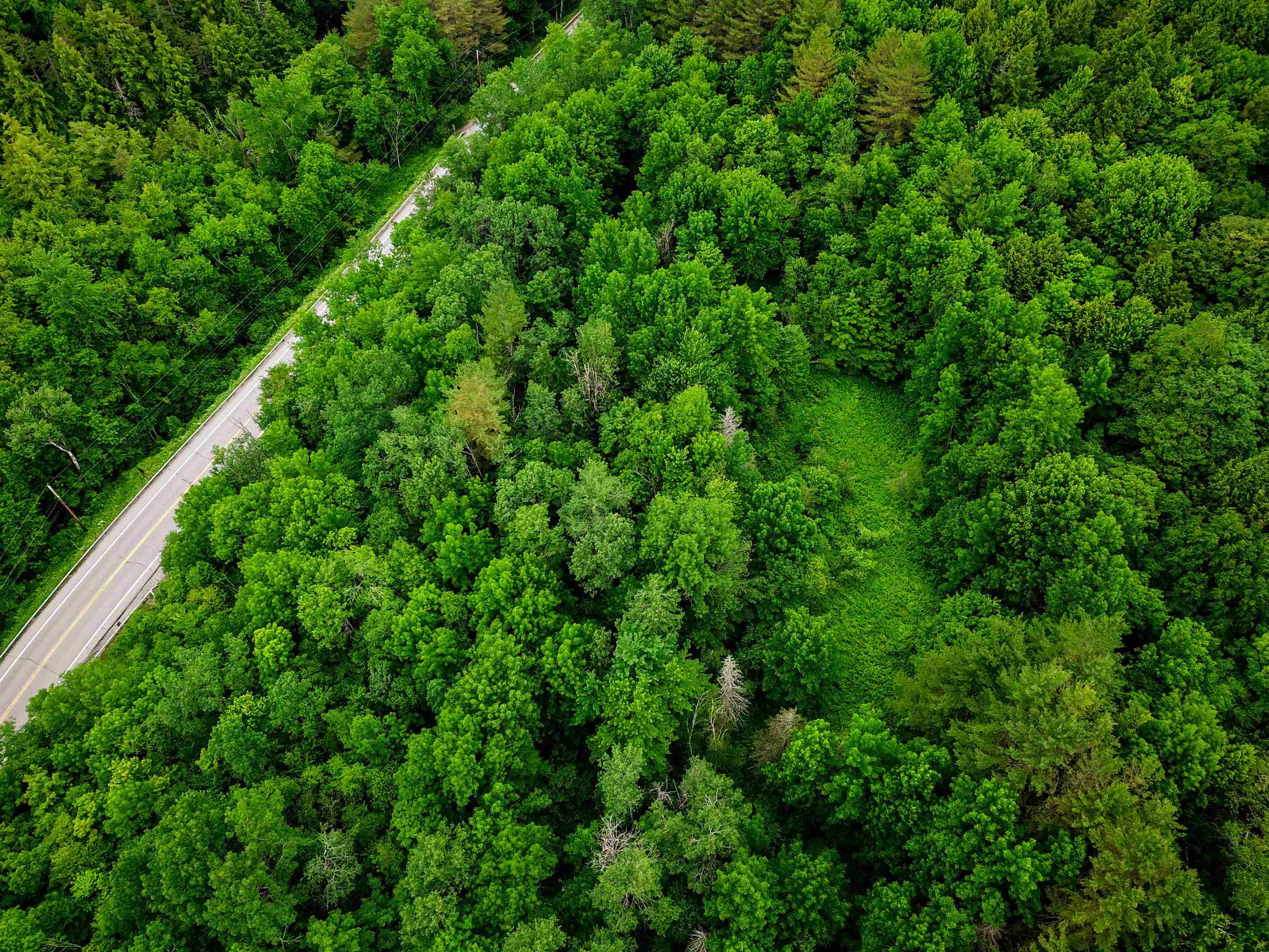 3745 Vt-100 Warren, VT 05674 - Photo 55 of 60