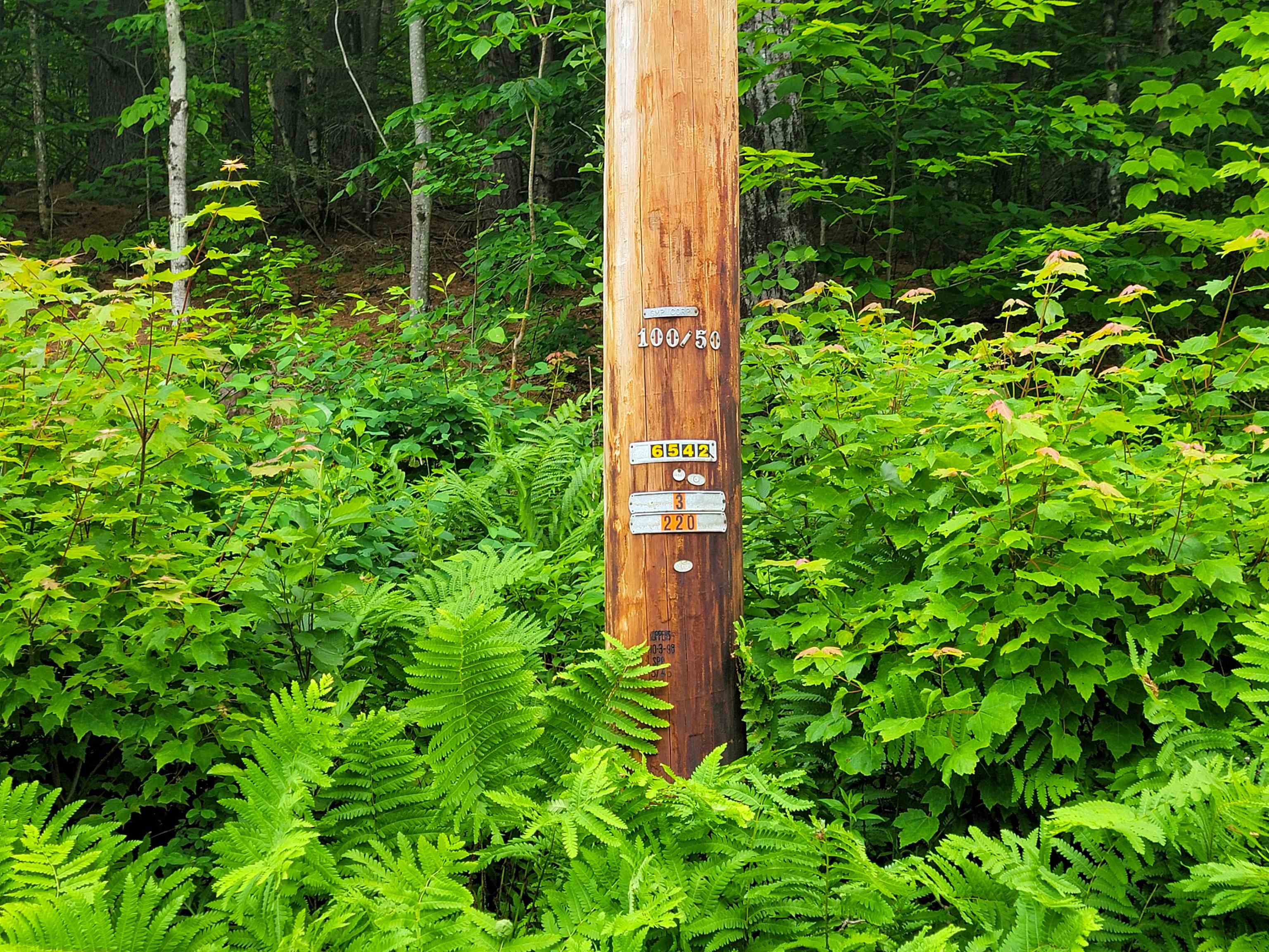 3745 Vt-100 Warren, VT 05674 - Photo 60 of 60