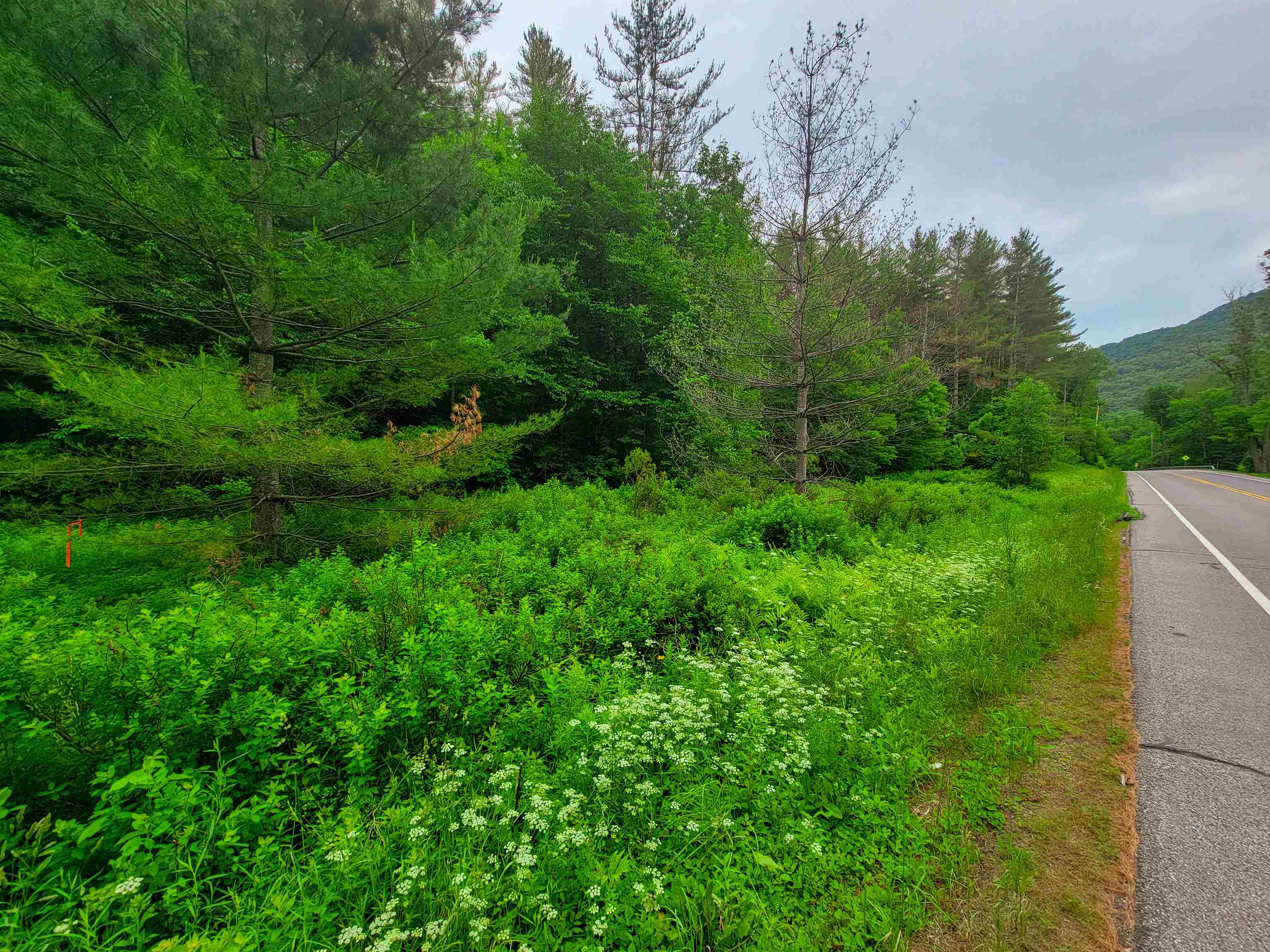 3745 Vt-100 Warren, VT 05674 - Photo 7 of 60