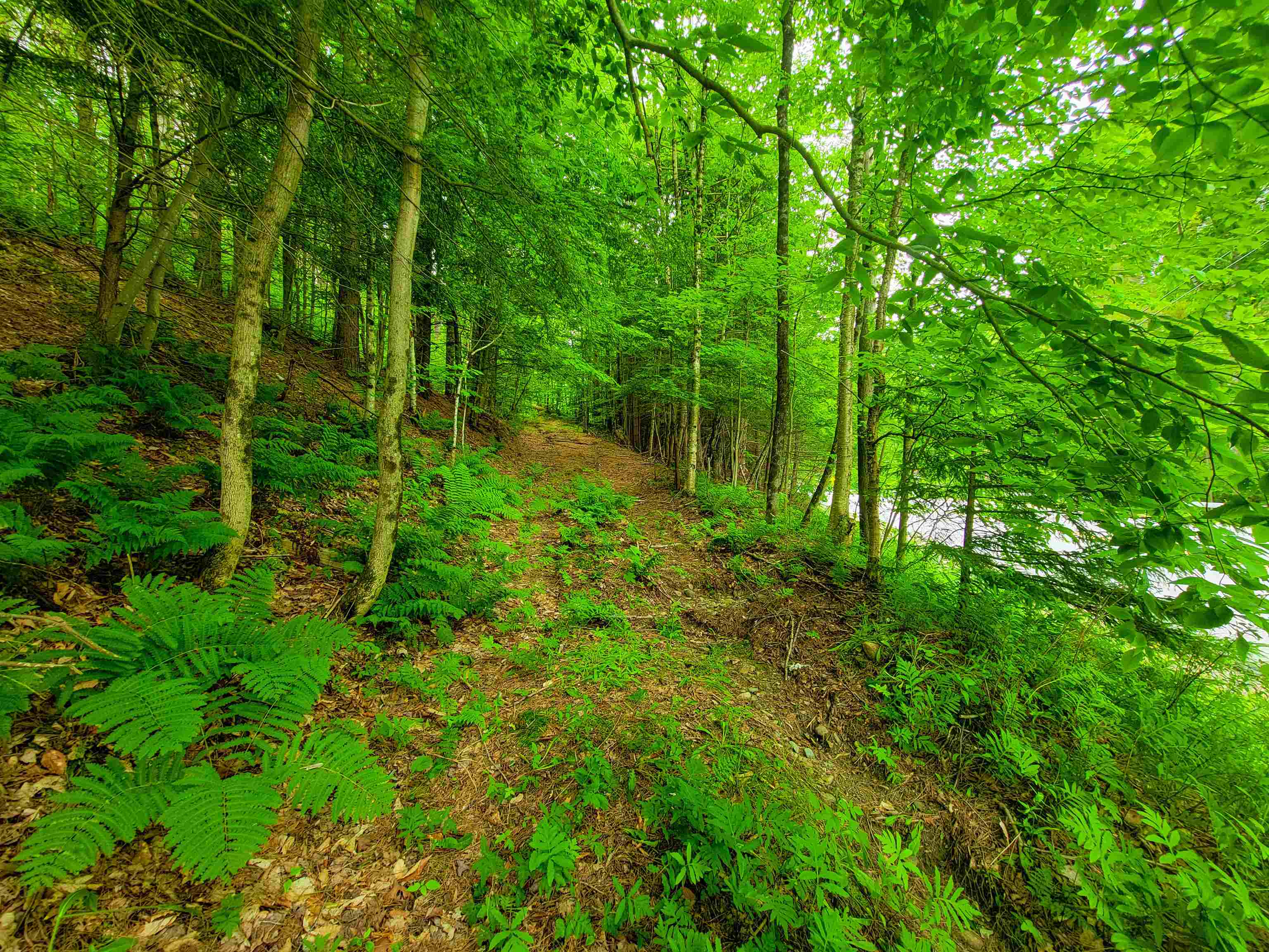 3745 Vt-100 Warren, VT 05674 - Photo 9 of 60