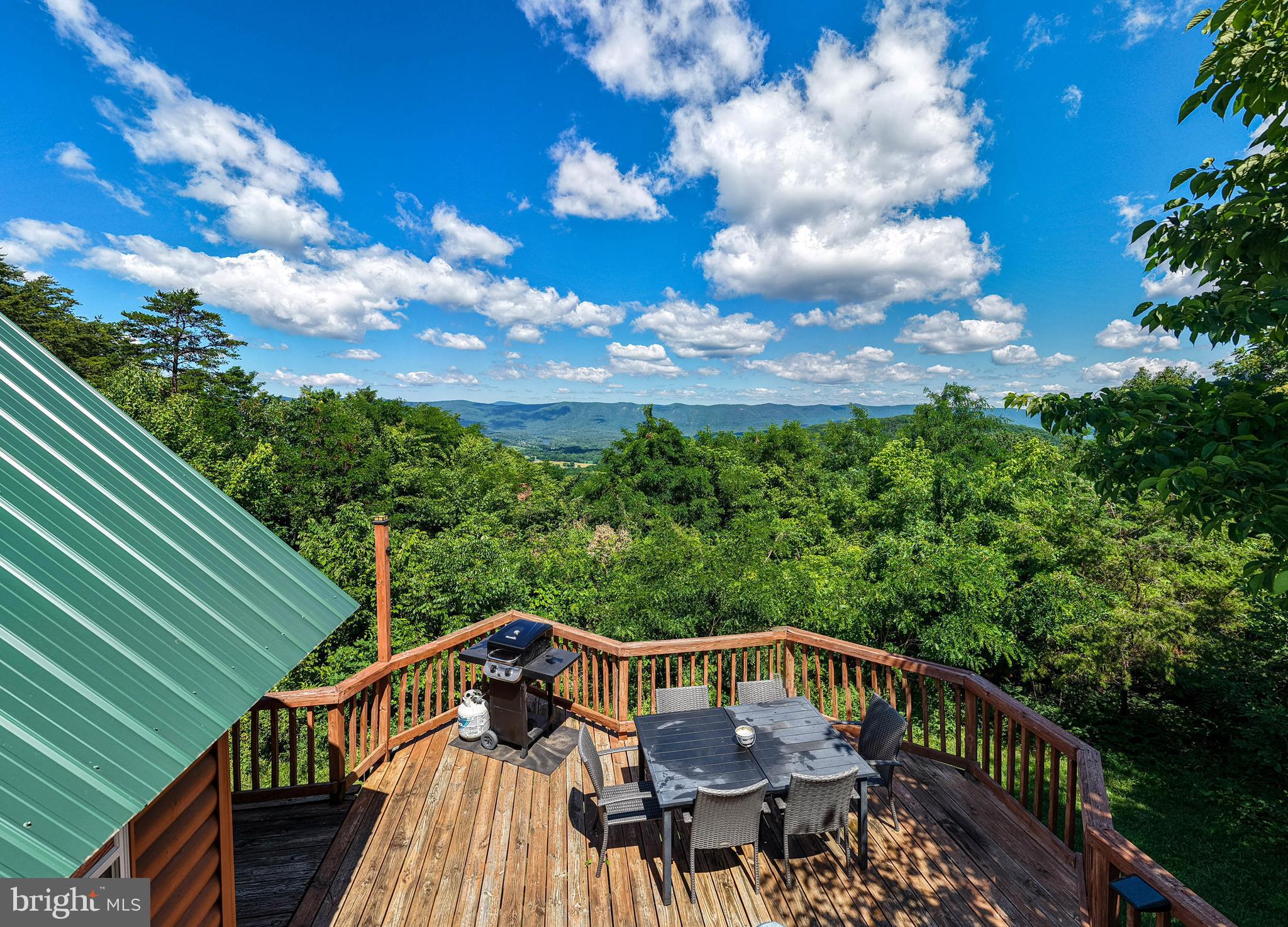 707 Overlook Drive Rileyville, VA 22650 - Photo 68 of 94