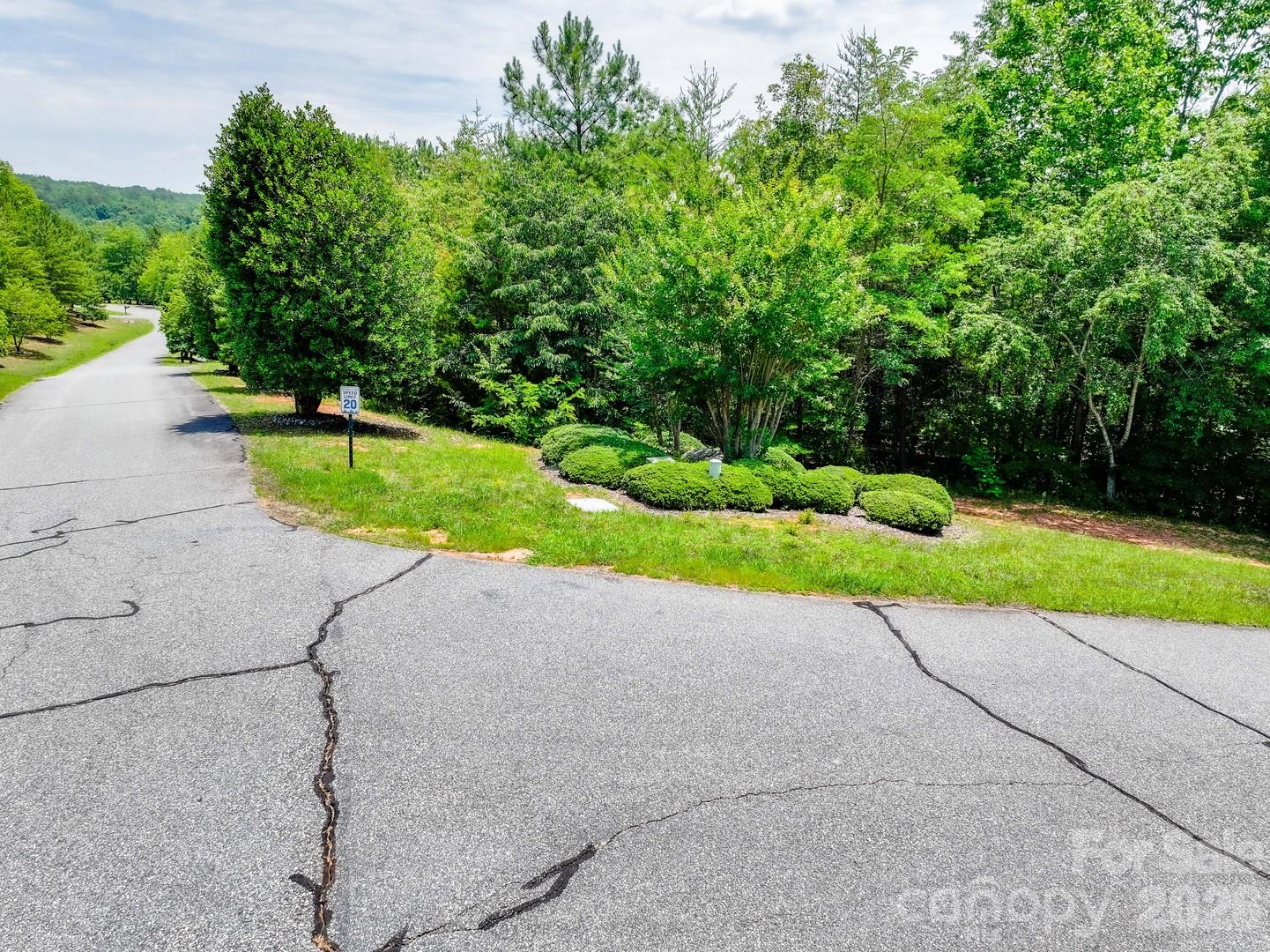 121 Jobes Trail, Unit 35 Mill Spring, NC 28756 - Photo 6 of 20