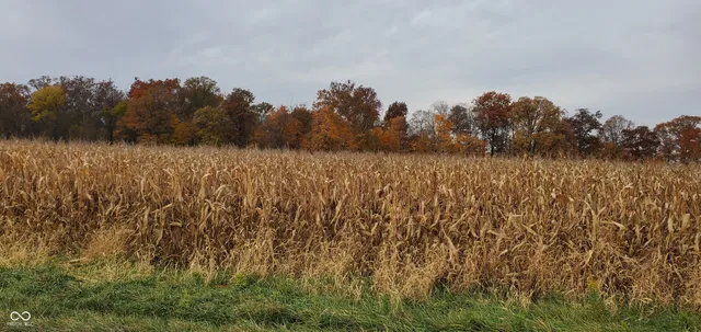 $284,000 | 0 South 400th West, New Palestine, IN 46163