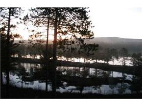 266 Michawanic Road, Unit 12B Wakefield, NH 03872 - Photo 3 of 8