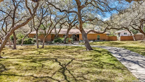 a view of yard with trees