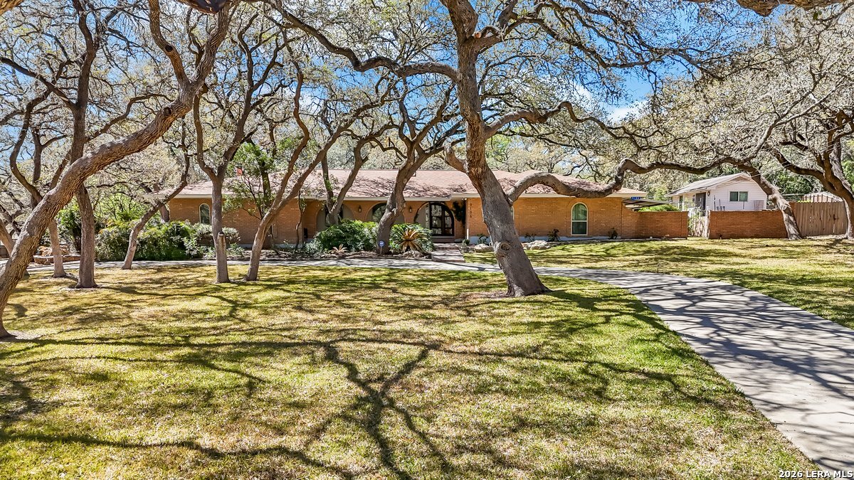 a view of yard with trees