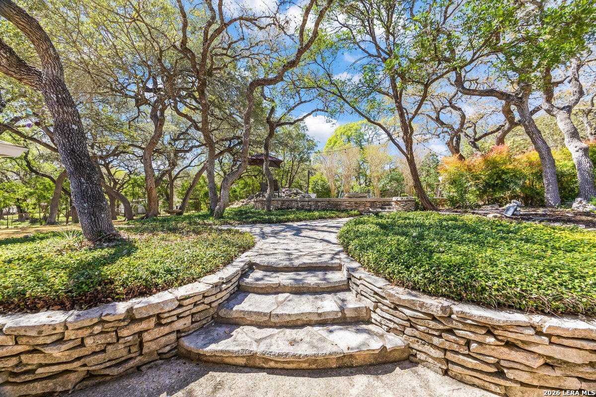 9106 Sundew Circle Garden Ridge, TX 78266 - Photo 22 of 29 a view of a yard with plants
