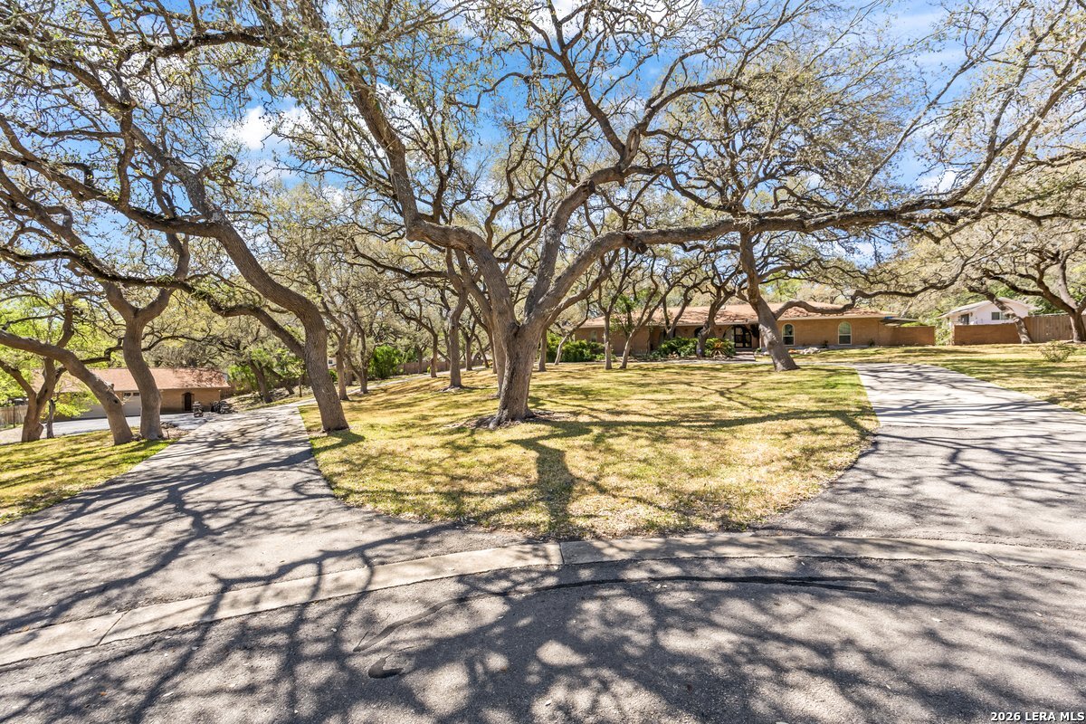 9106 Sundew Circle Garden Ridge, TX 78266 - Photo 3 of 29 a view of yard with trees