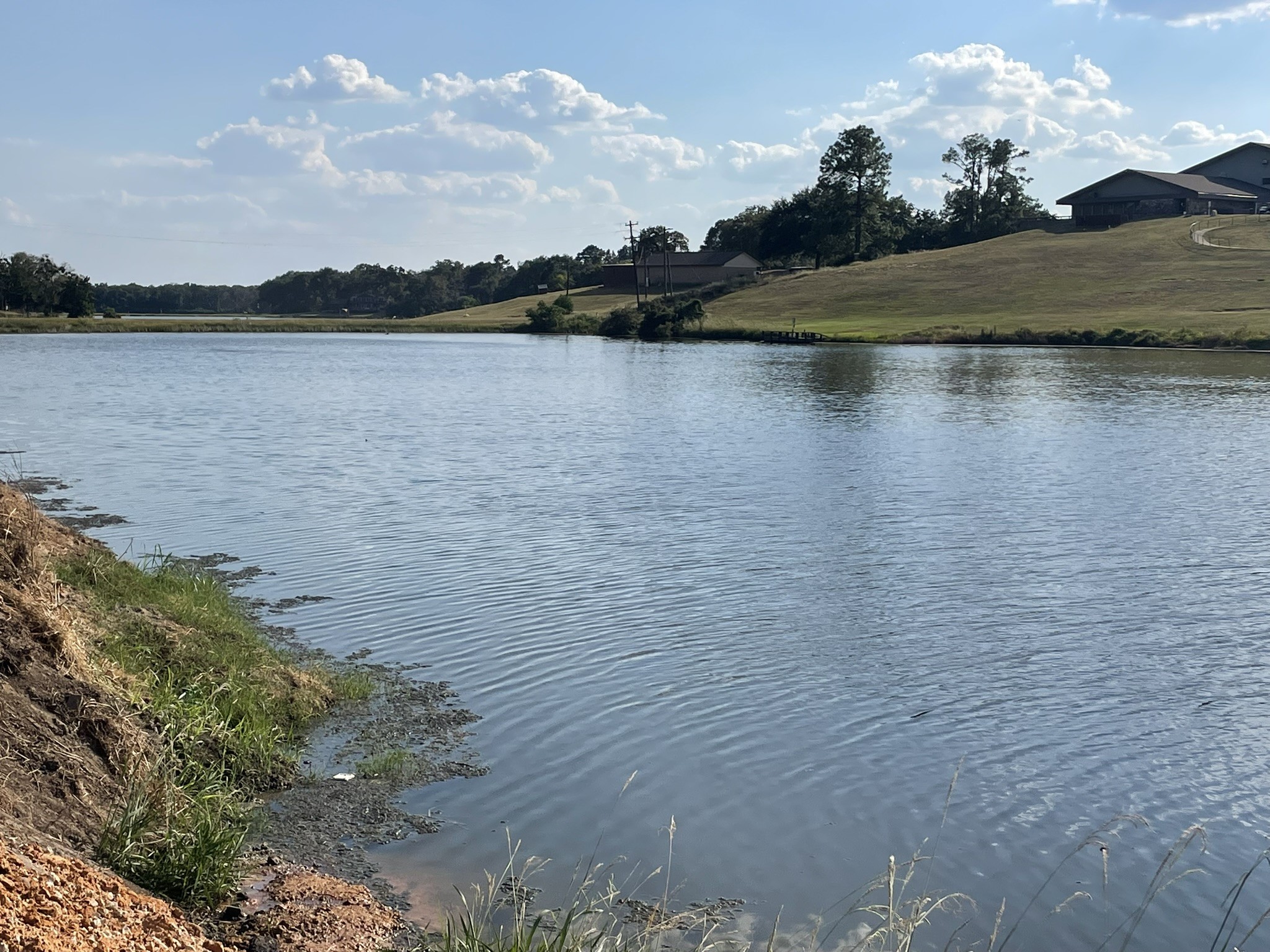 31 Ranch Road Drive Normangee, TX 77871 - Photo 13 of 17 a view of lake