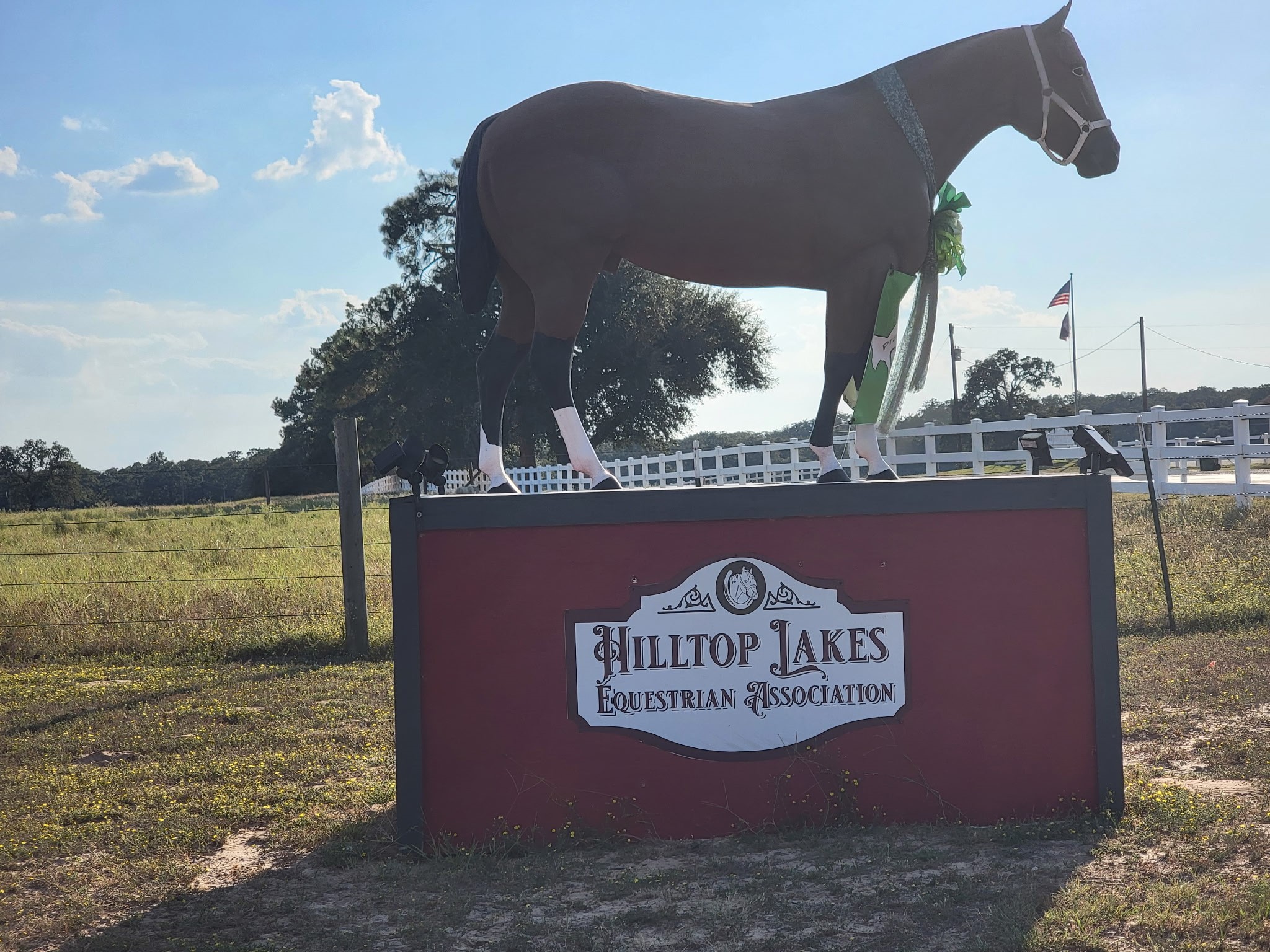 31 Ranch Road Drive Normangee, TX 77871 - Photo 3 of 17 a sign on the side of a building