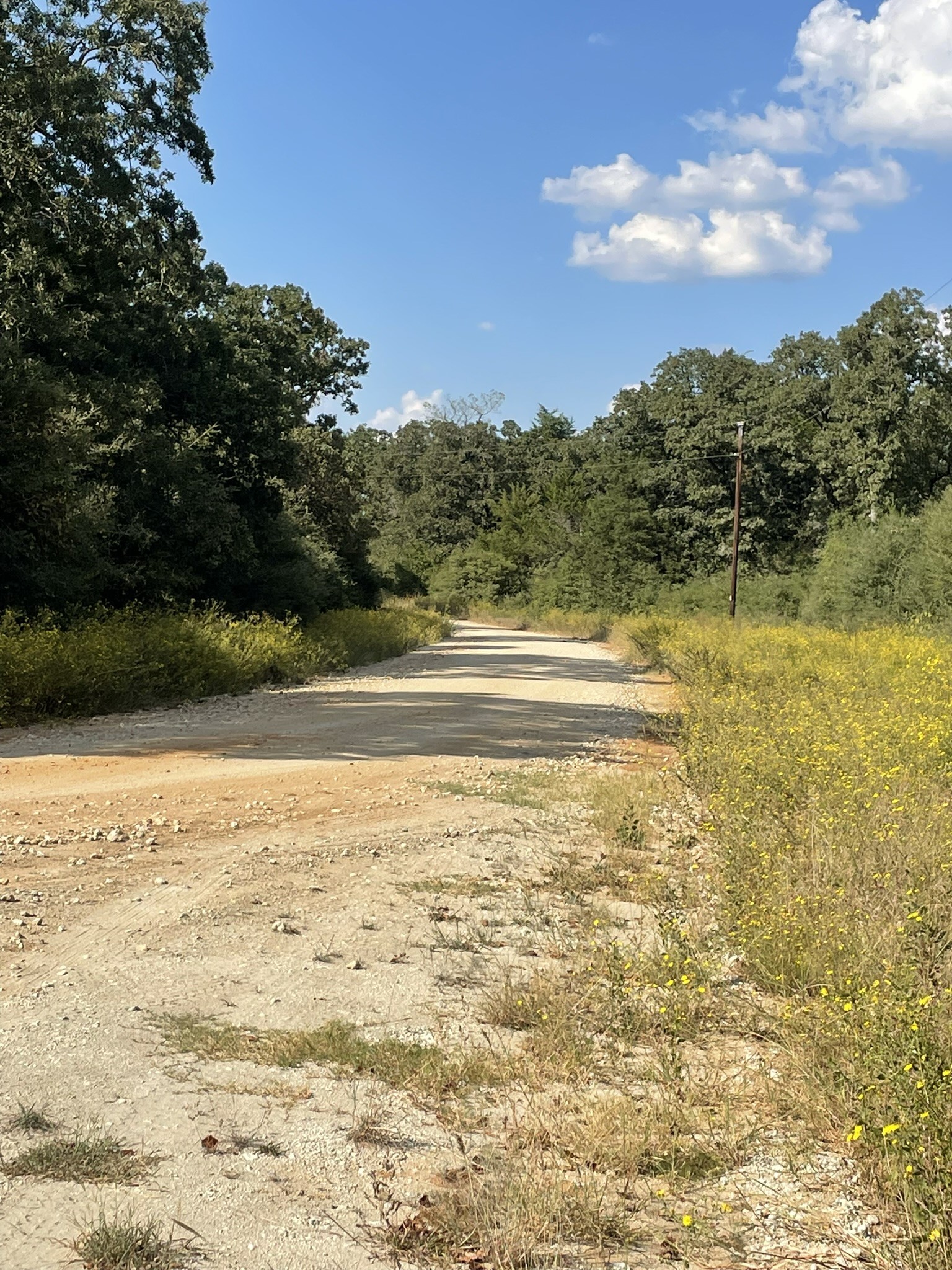 31 Ranch Road Drive Normangee, TX 77871 - Photo 8 of 17 a view of an ocean and beach