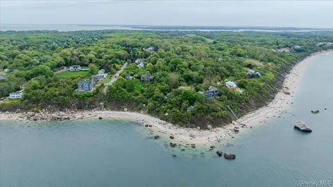 a view of a lake with beach and large trees