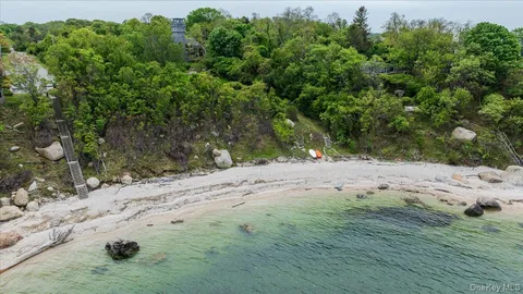 a view of a tree with a yard