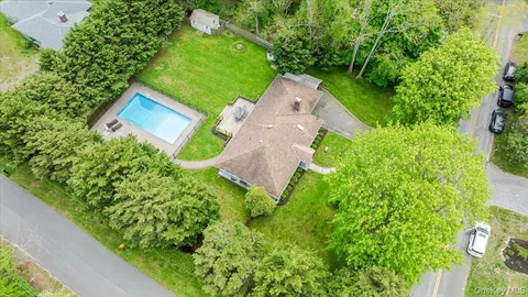 a view of a garden with plants