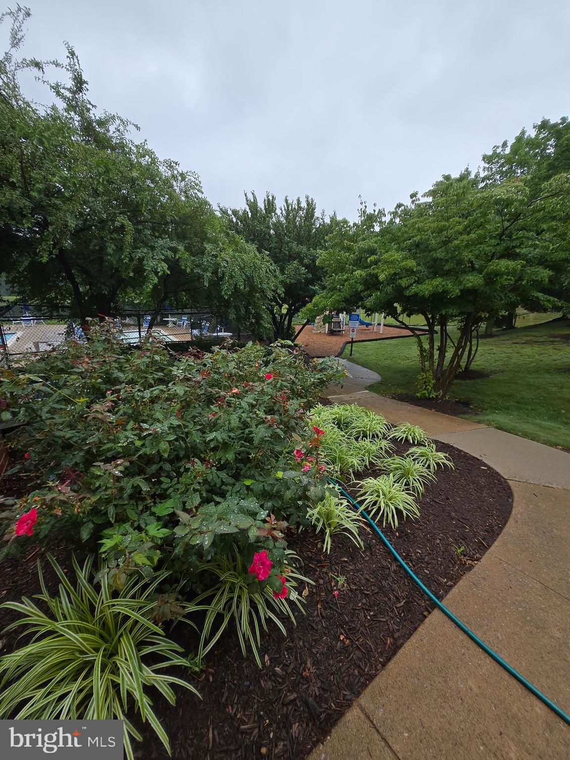 14151 Cuddy Loop, Unit 101 Woodbridge, VA 22193 - Photo 42 of 45 a picture of a yard with plants and trees