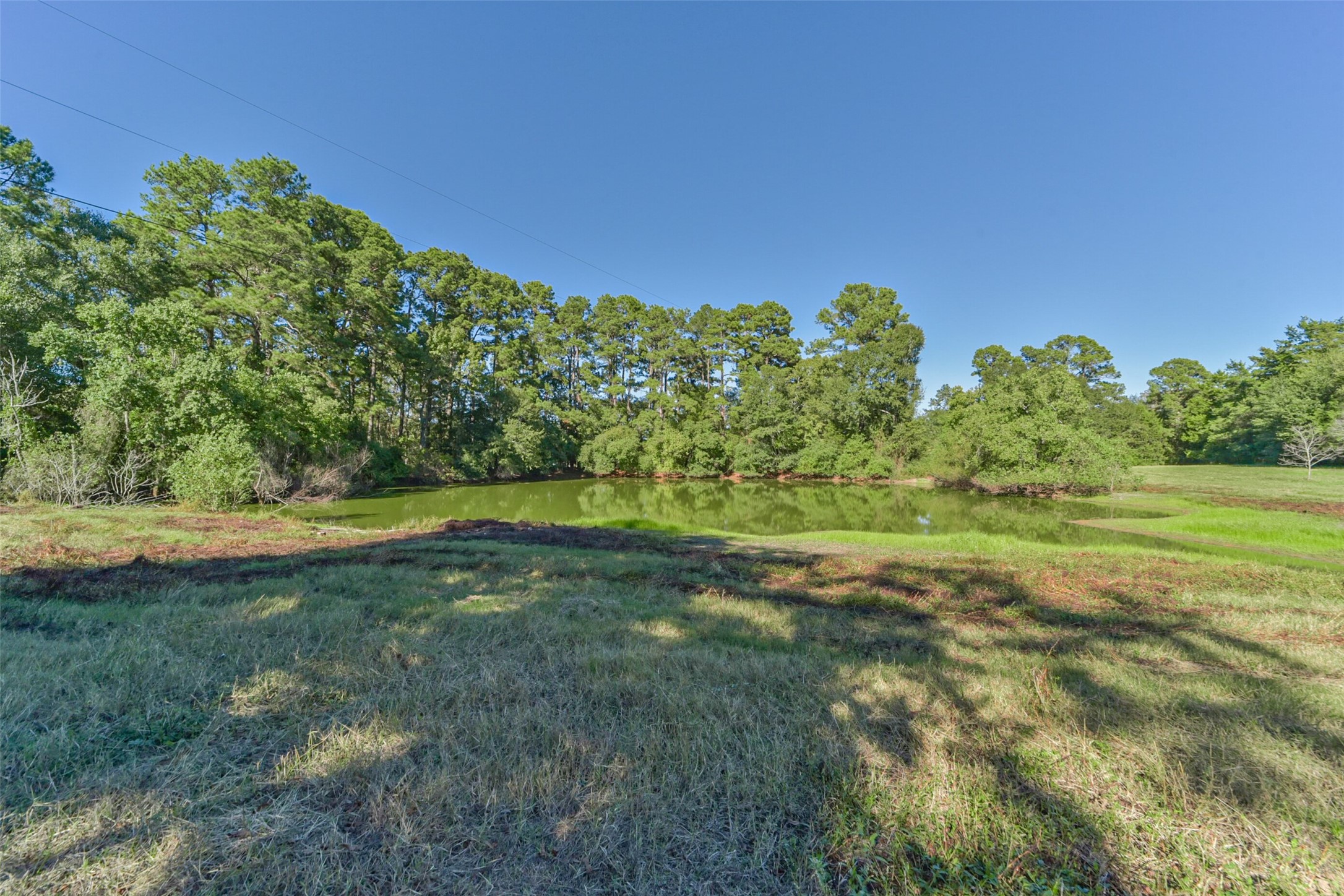 140 Little Loop Road New Waverly, TX 77358 - Photo 4 of 10