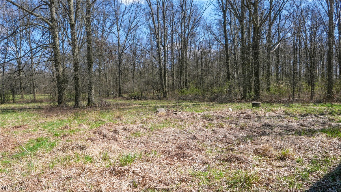 5556 Shaffer Road Northwest Warren, OH 44481 - Photo 13 of 20