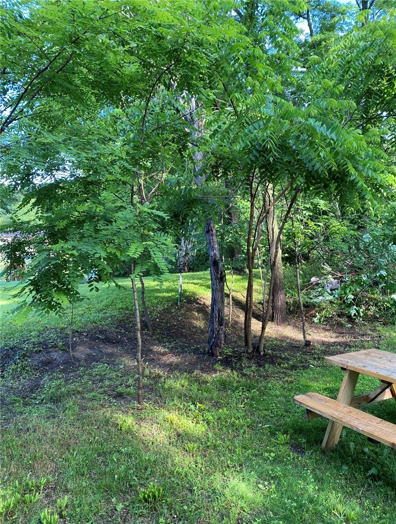 3764 Italy Hill Road Jerusalem, NY 14418 - Photo 3 of 18