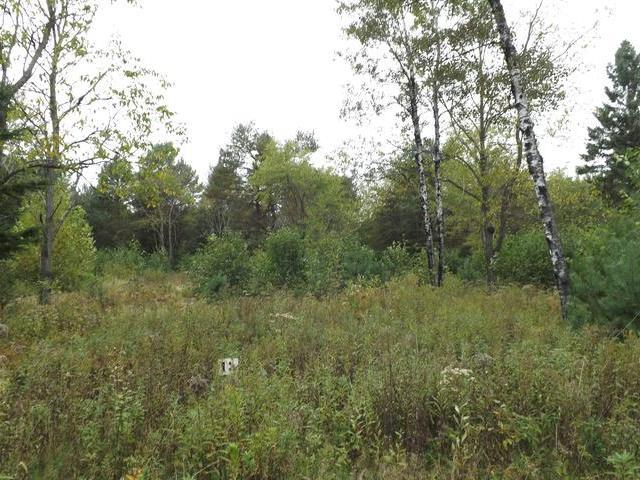 On Settlement Road, Unit LOT 13 Long Lake, WI 54542 - Photo 2 of 5 Gallery Image 2