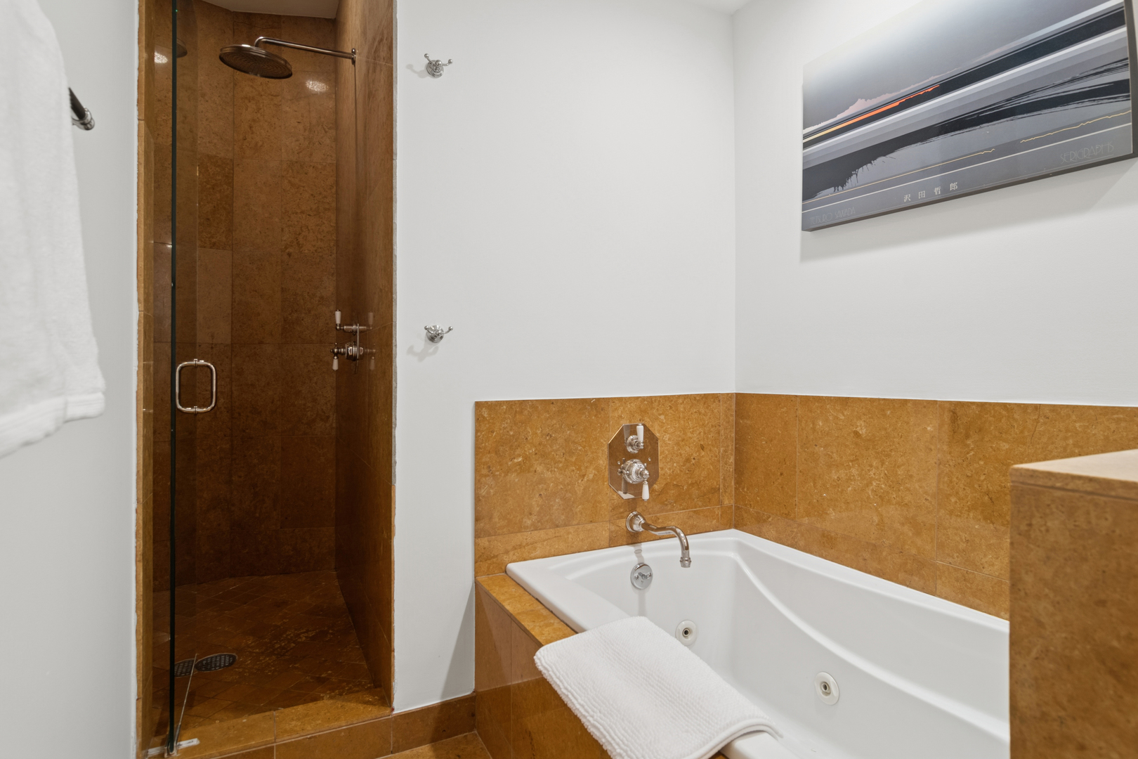 910 South Michigan Avenue, Unit 1101 Chicago, IL 60605 - Photo 37 of 47