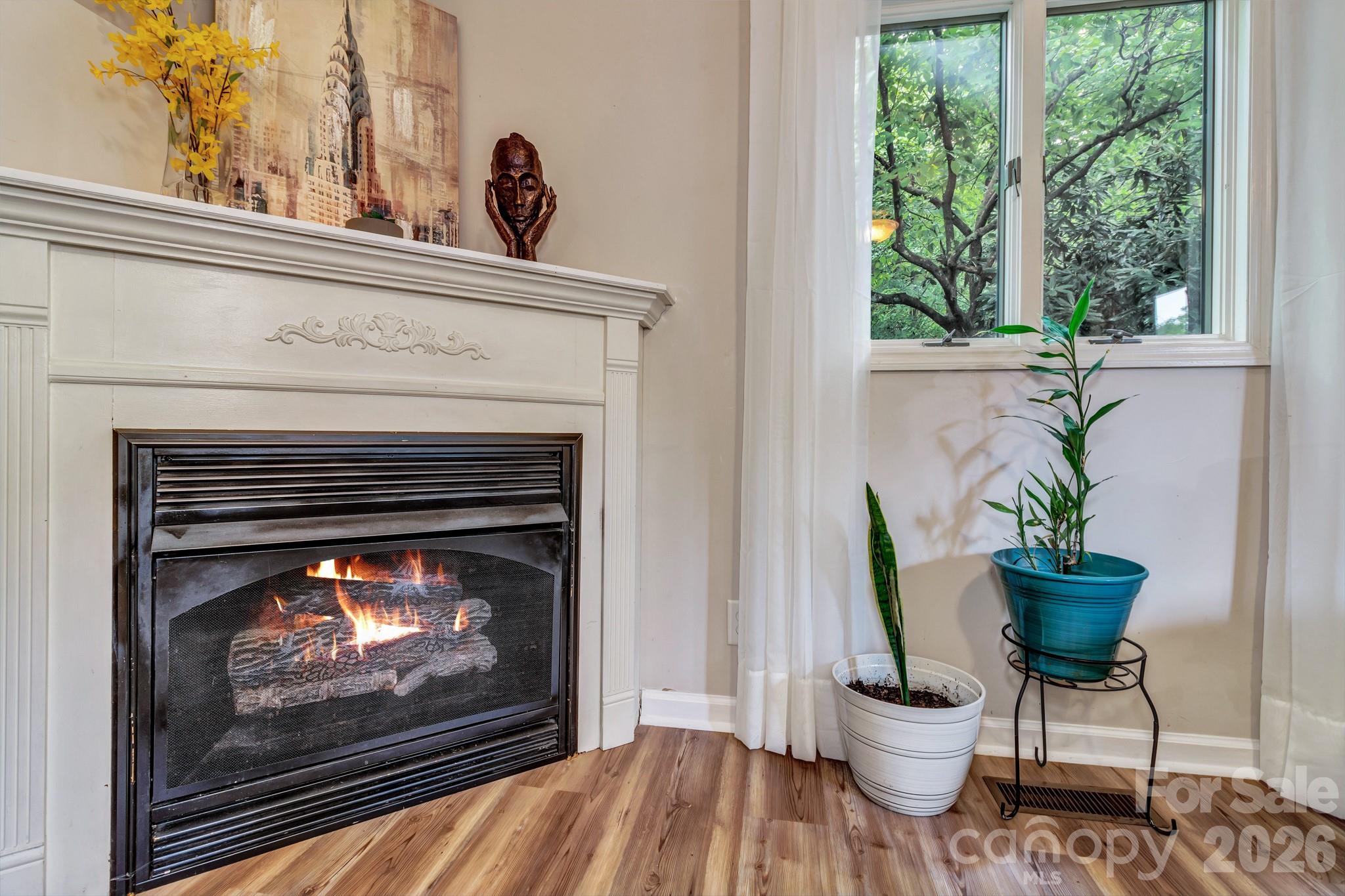 603 Rose Hill Road Asheville, NC 28803 - Photo 17 of 43 a living room with furniture a fireplace and a potted plant