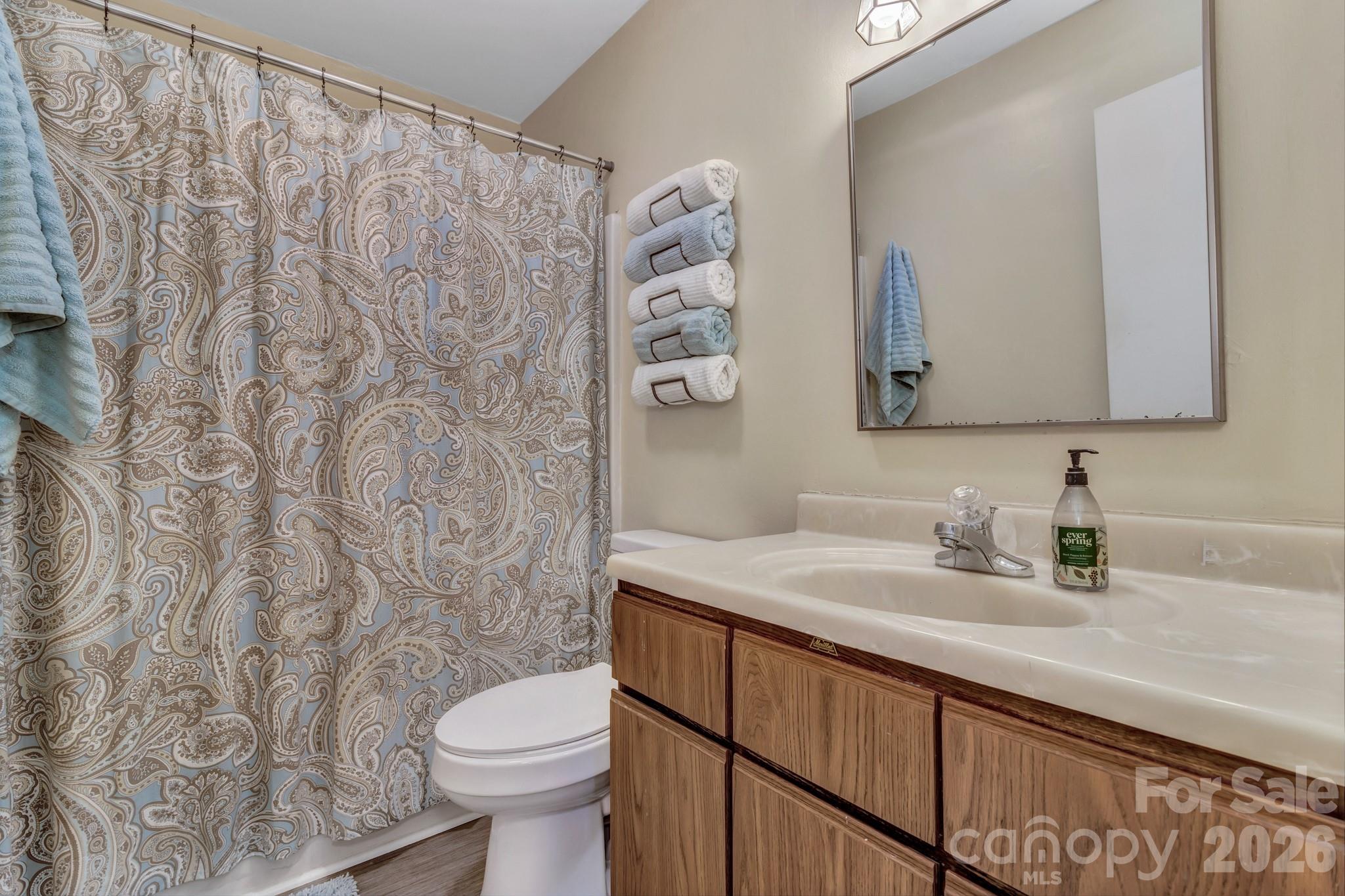 603 Rose Hill Road Asheville, NC 28803 - Photo 31 of 43 a bathroom with a toilet sink and mirror