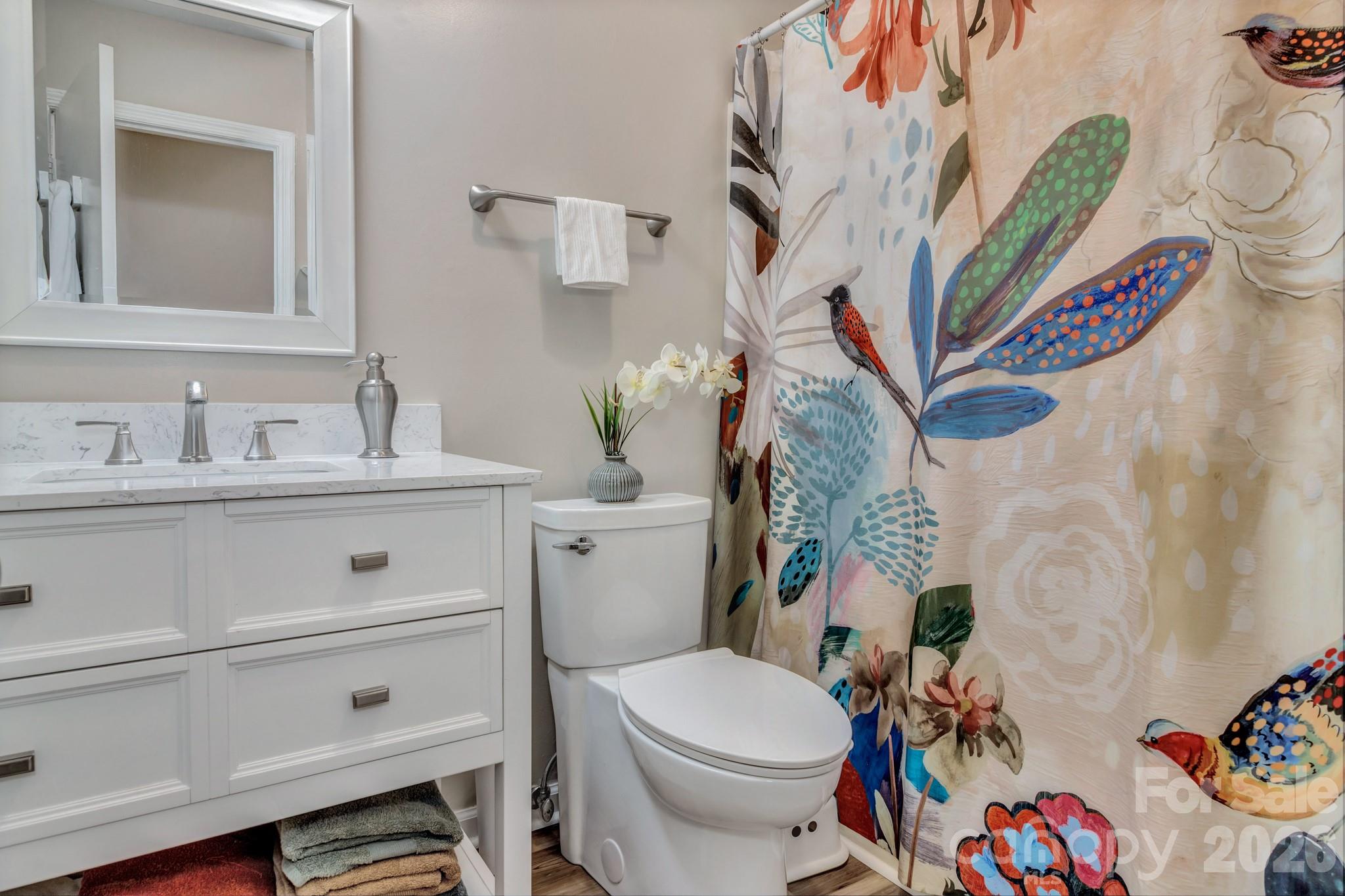 603 Rose Hill Road Asheville, NC 28803 - Photo 32 of 43 a bathroom with a sink mirror vanity and toilet