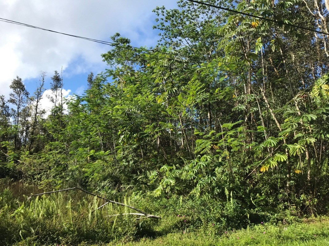 Pakalana Road Pahoa, HI 96778 - Photo 1 of 5 Gallery Image 1