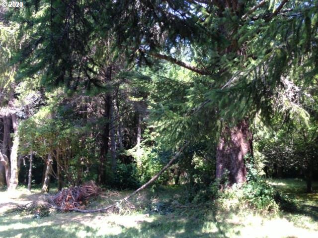 92769 Silver Butte Road Port Orford, OR 97465 - Photo 5 of 8 Gallery Image 5