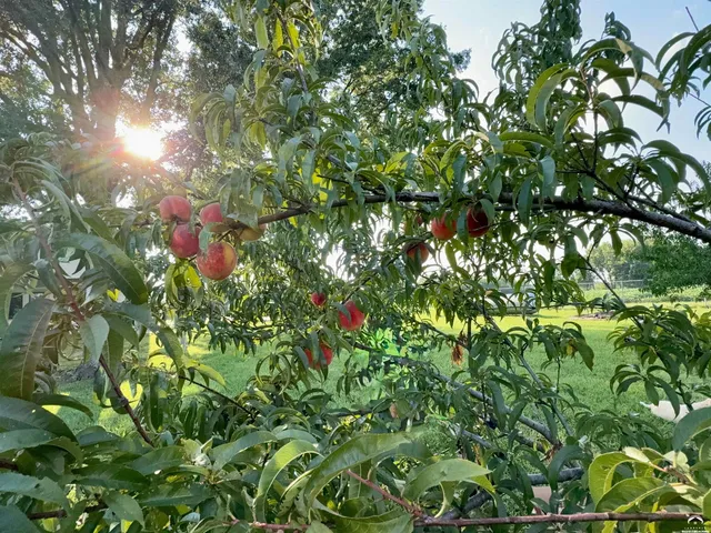 $999,950 | 14565 South Gardner Road, Gardner, KS 66030