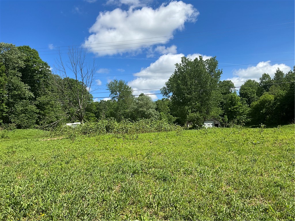 6471 Crofoot Road Sempronius, NY 13118 - Photo 3 of 23
