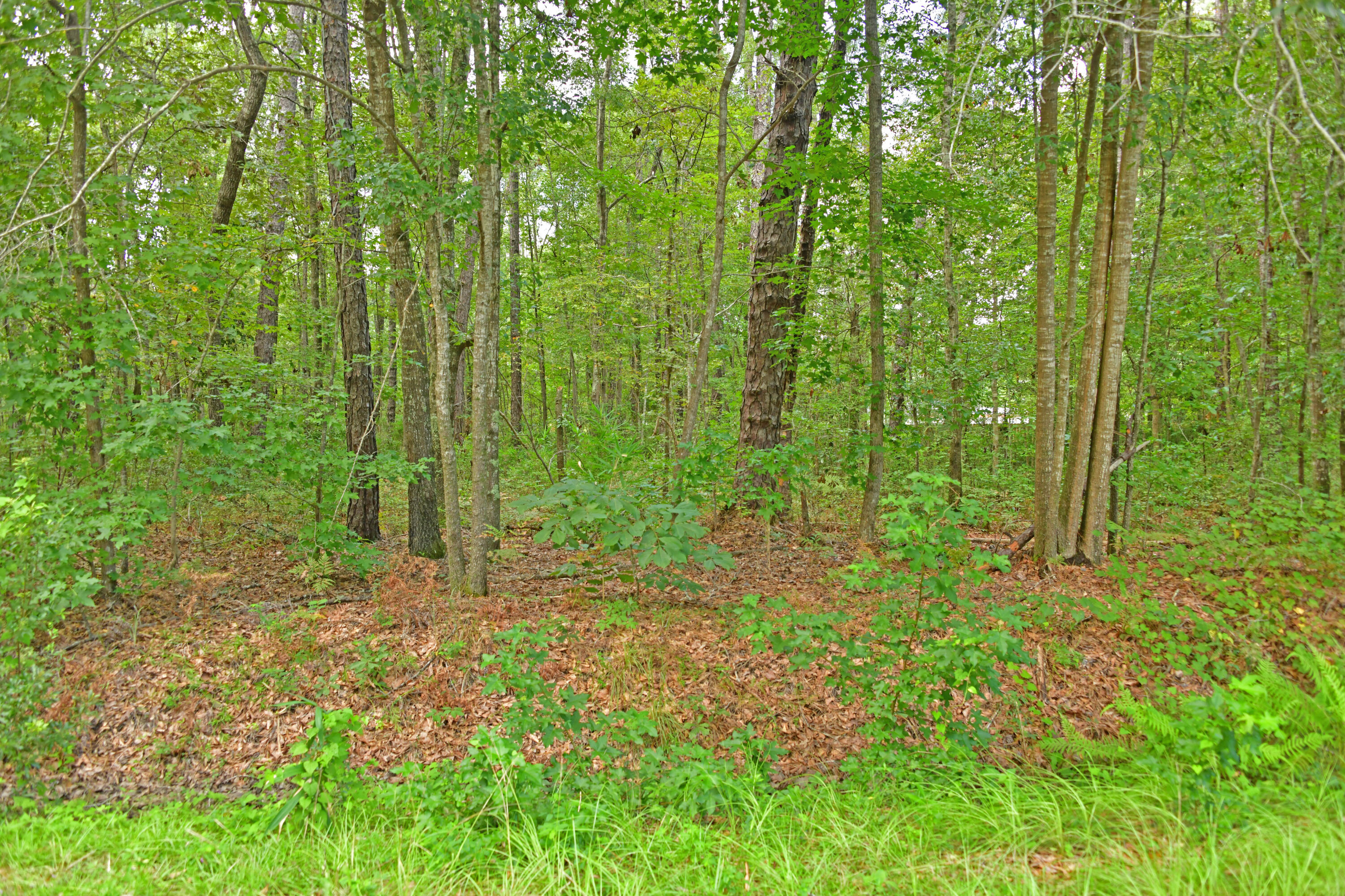 6108 State Rd S-10-2077 Ravenel, SC 29470 - Photo 1 of 3 Smith Rd 2