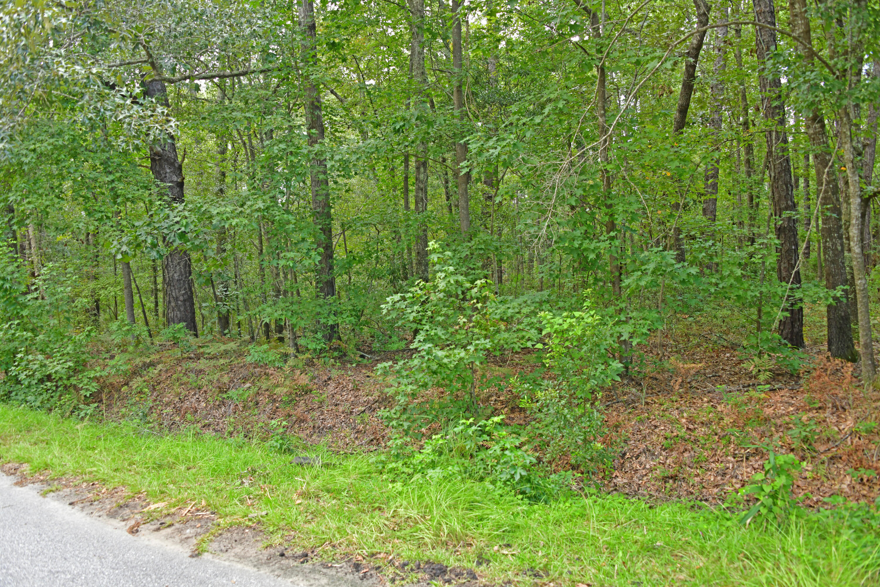 6108 State Rd S-10-2077 Ravenel, SC 29470 - Photo 2 of 3 Smith Rd 4