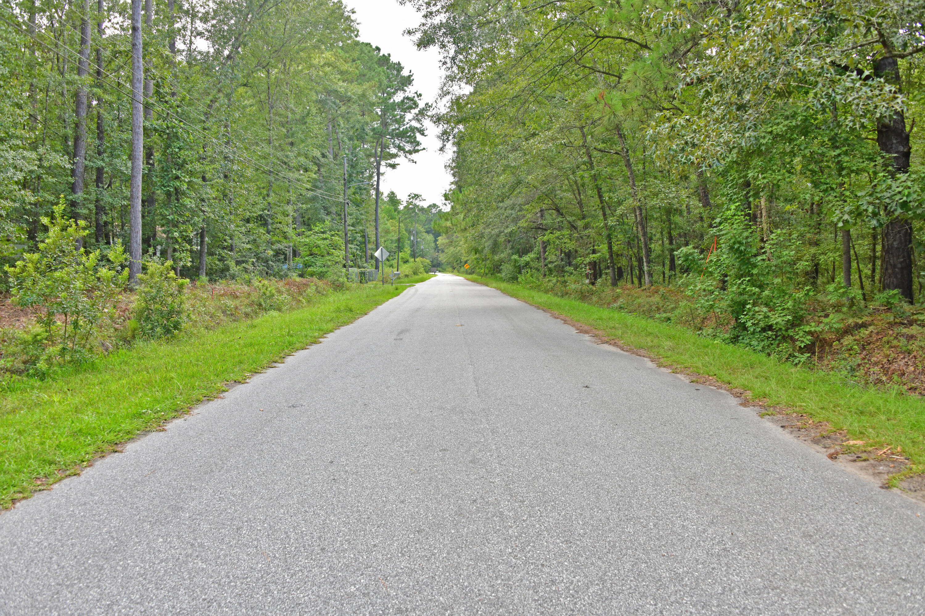 6108 State Rd S-10-2077 Ravenel, SC 29470 - Photo 3 of 3 Smith Rd 1