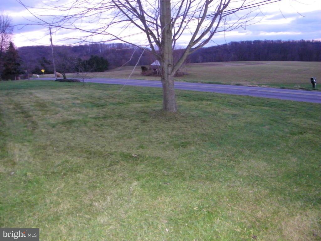 257 Frogtown Road Pequea, PA 17565 - Photo 8 of 9 a view of a yard with an tree