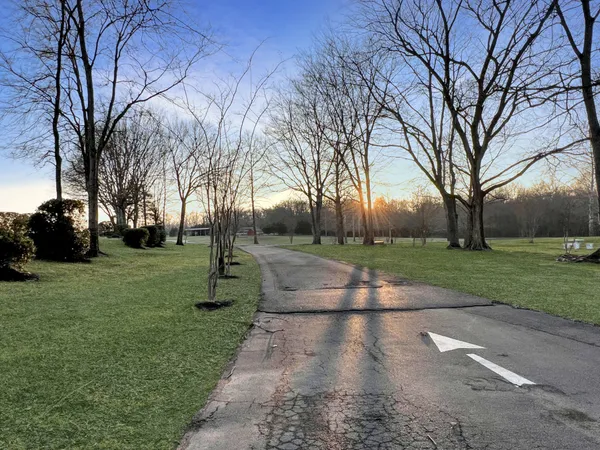 a view of park with large trees