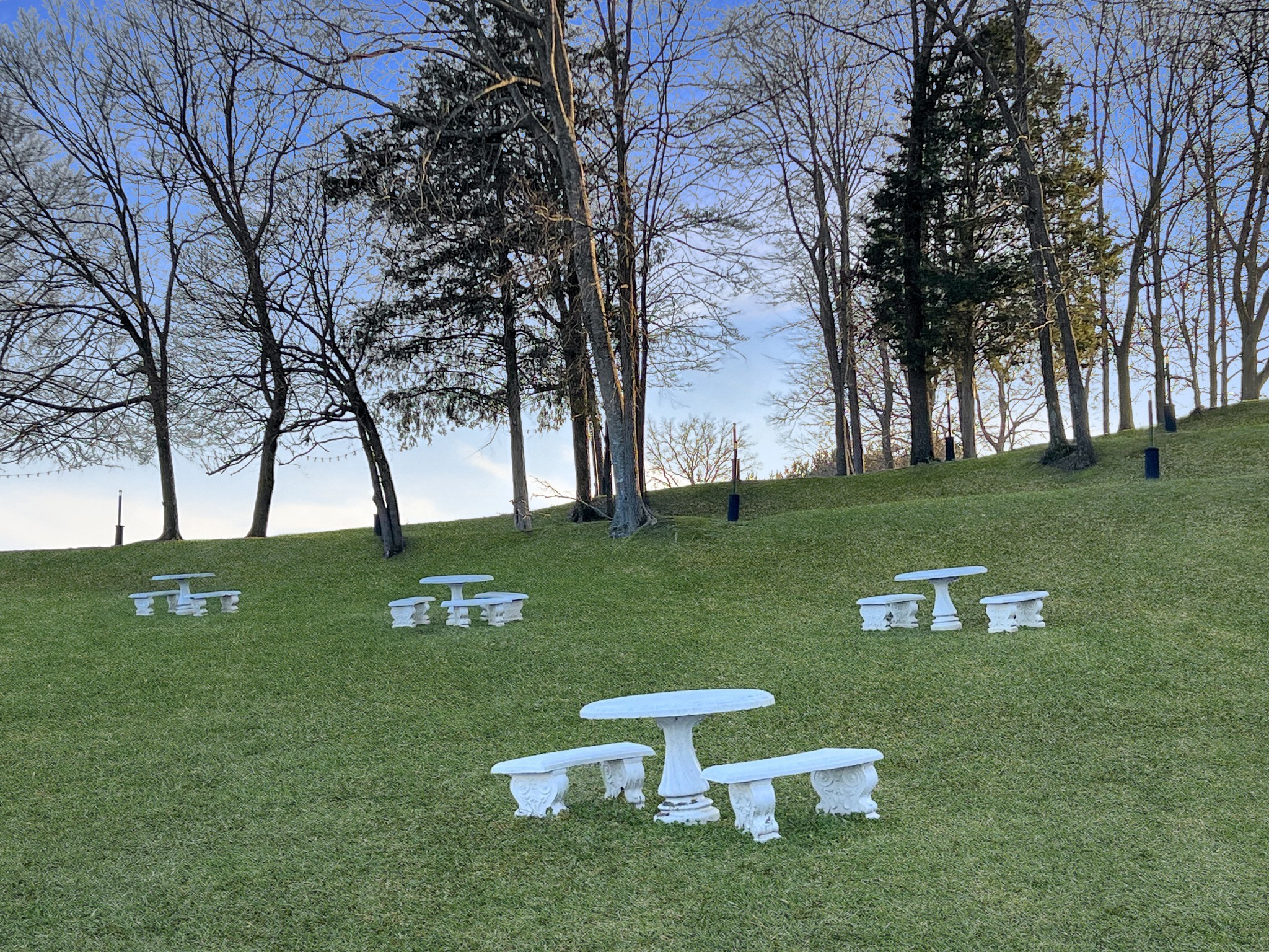 2982 Harvey Bowden Road Springville, TN 38256 - Photo 25 of 48 a view of a trees with barn