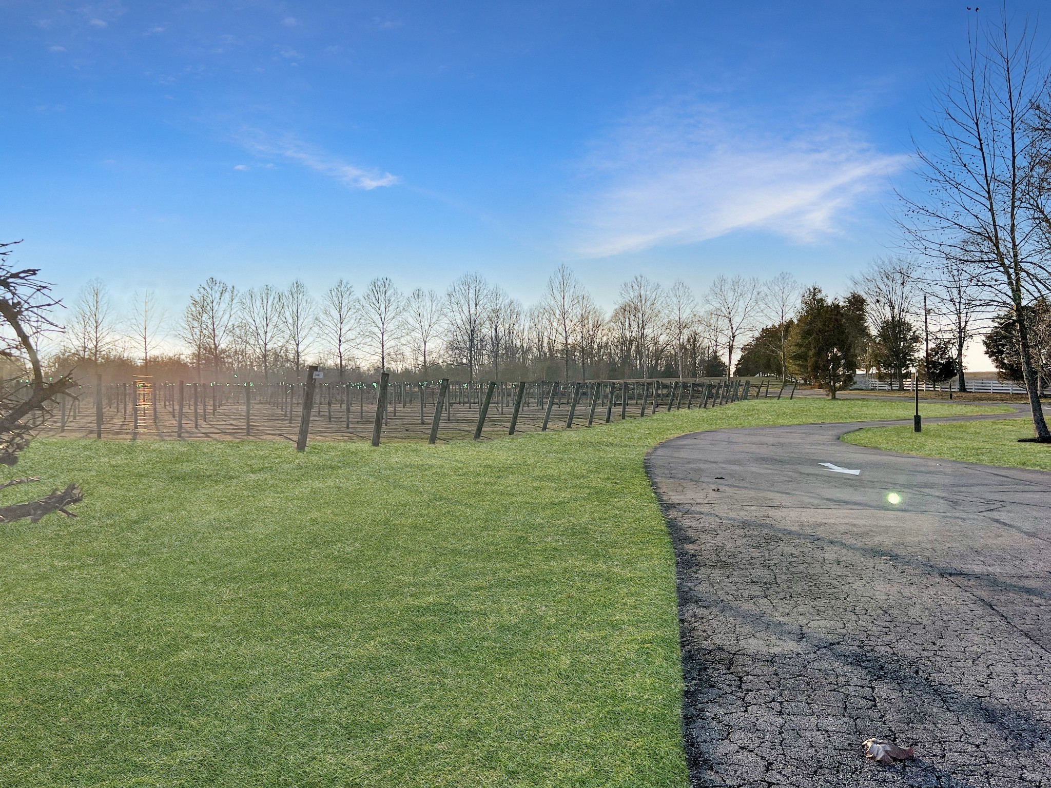 2982 Harvey Bowden Road Springville, TN 38256 - Photo 4 of 48 a view of a golf course with a play ground