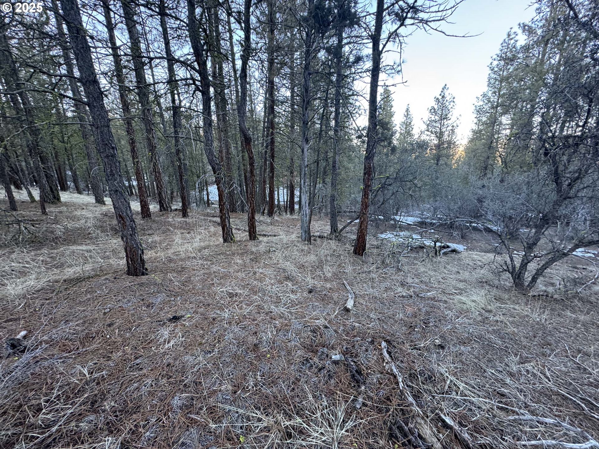 Bobcat Circle Beatty, OR 97621 - Photo 13 of 30 a view of outdoor space with trees