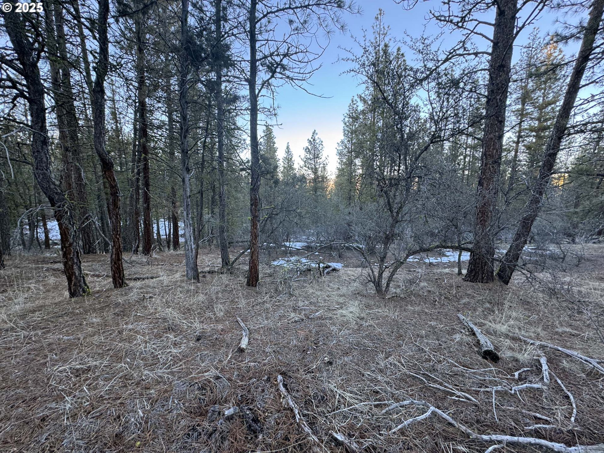 Bobcat Circle Beatty, OR 97621 - Photo 14 of 30 a view of outdoor space with trees