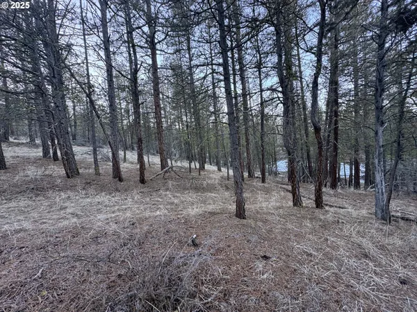 $9,000 | Bobcat Circle, Beatty, OR 97621